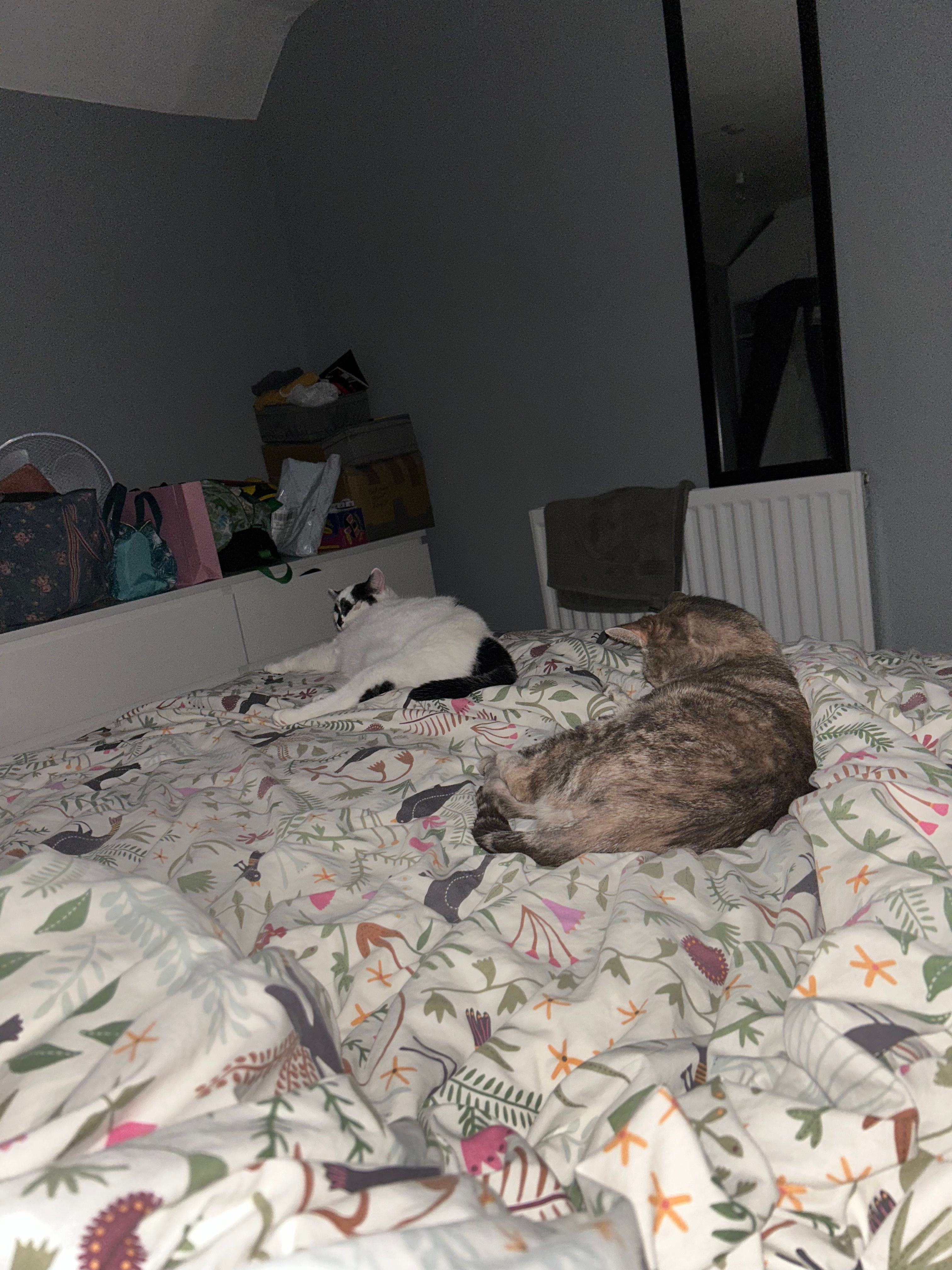 image-16