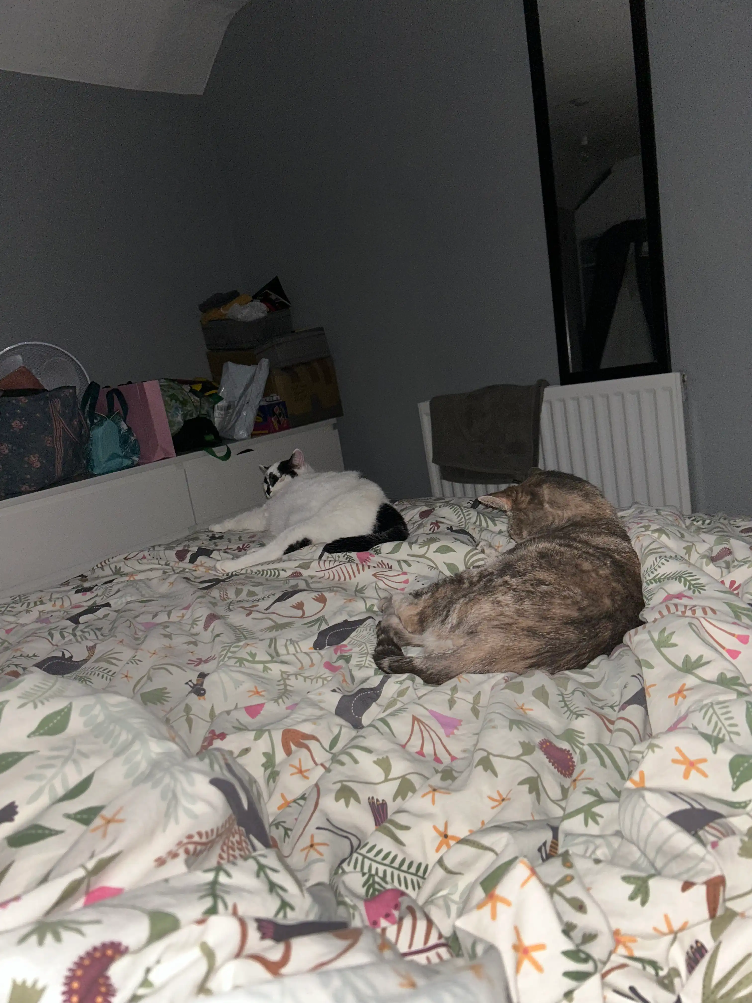 image-16