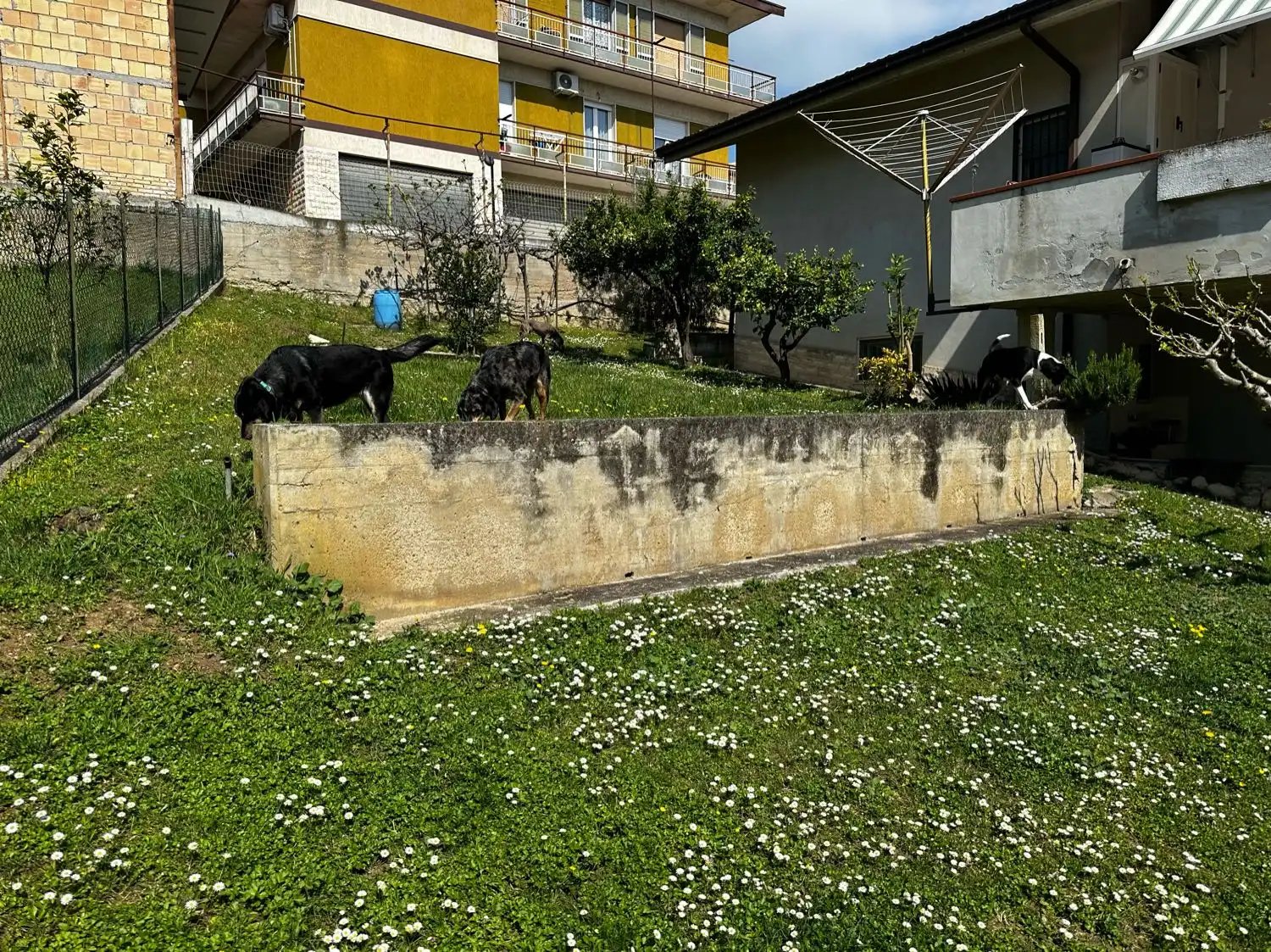 image-13