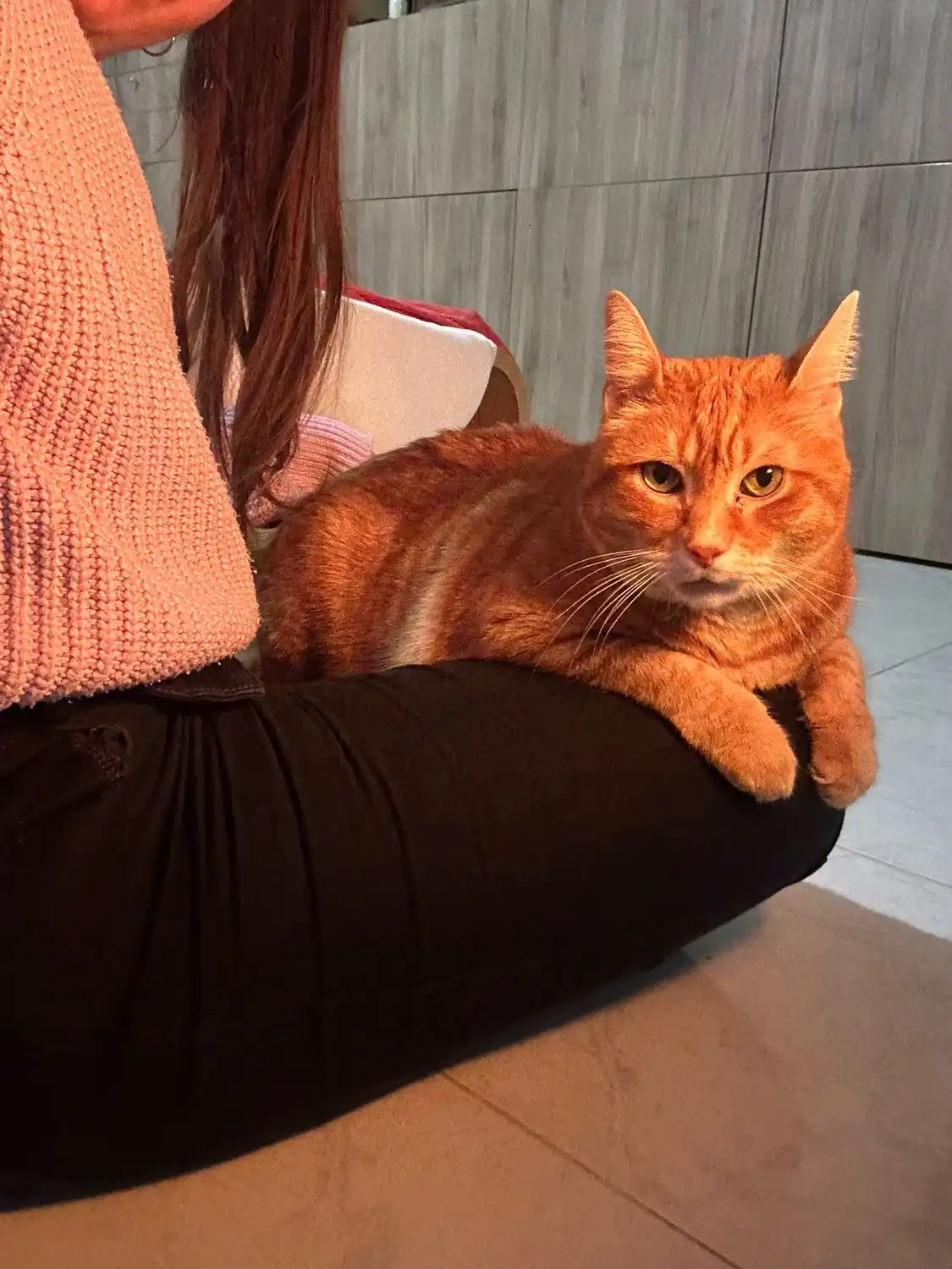 image-8