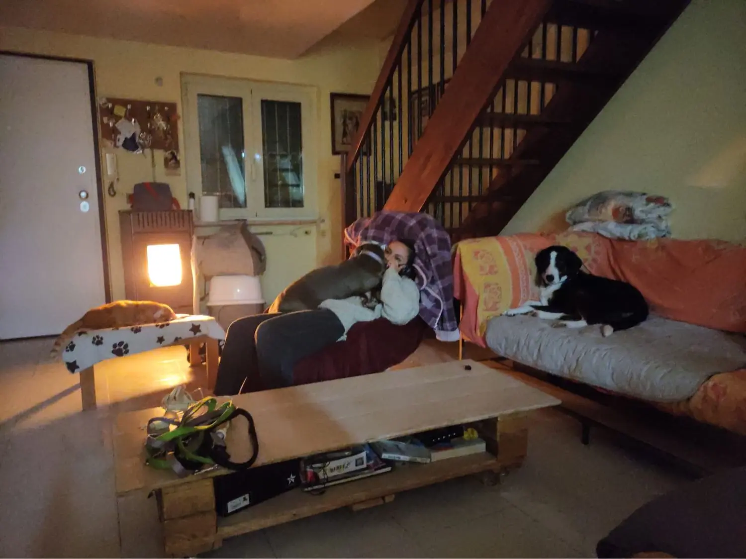 image-3