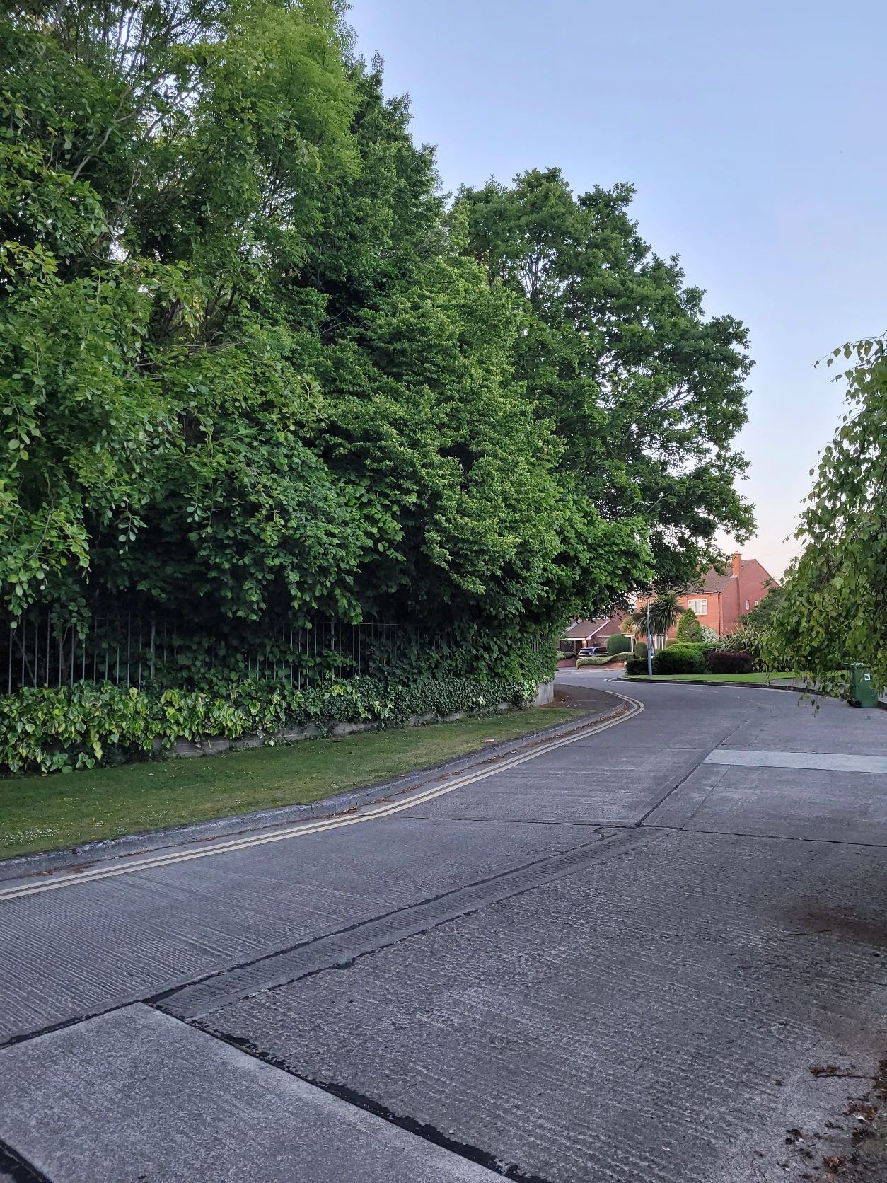 image-15