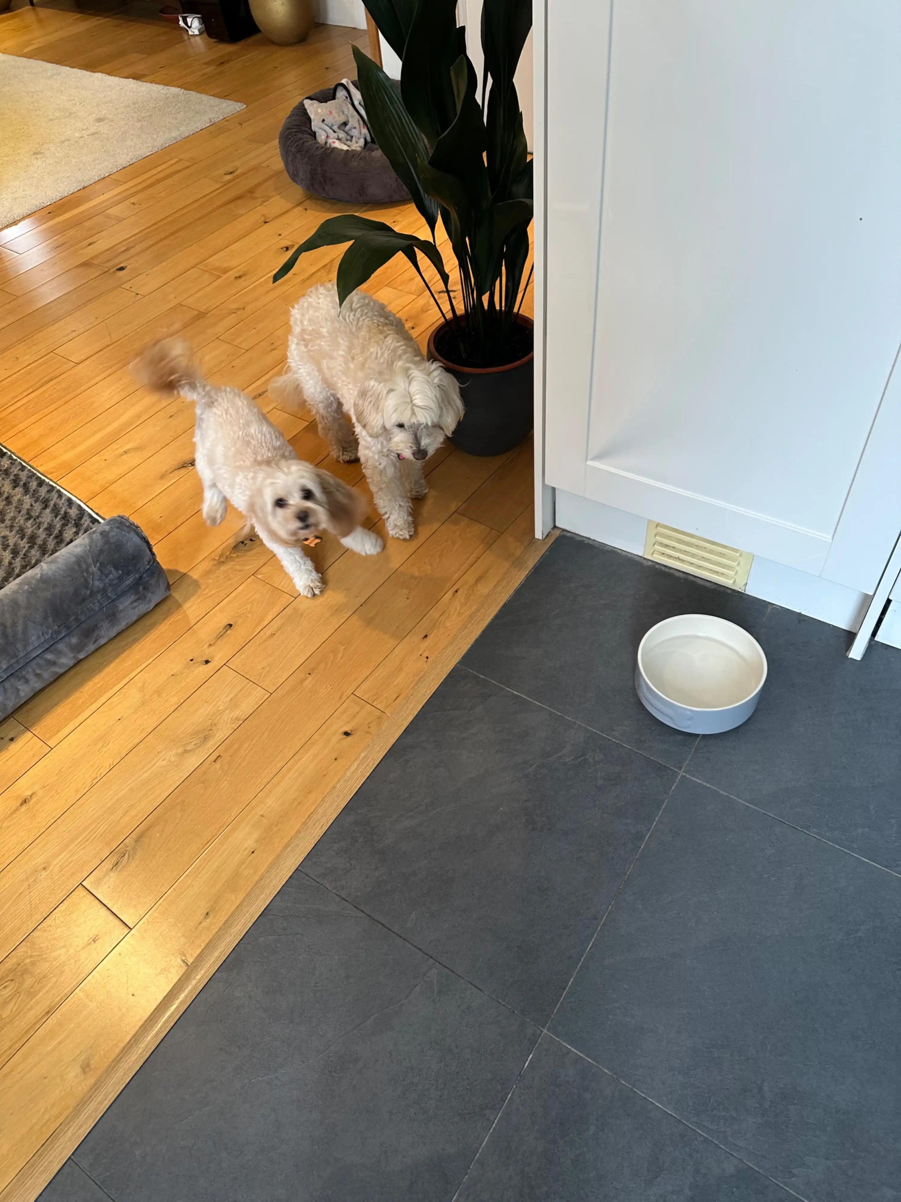 image-17