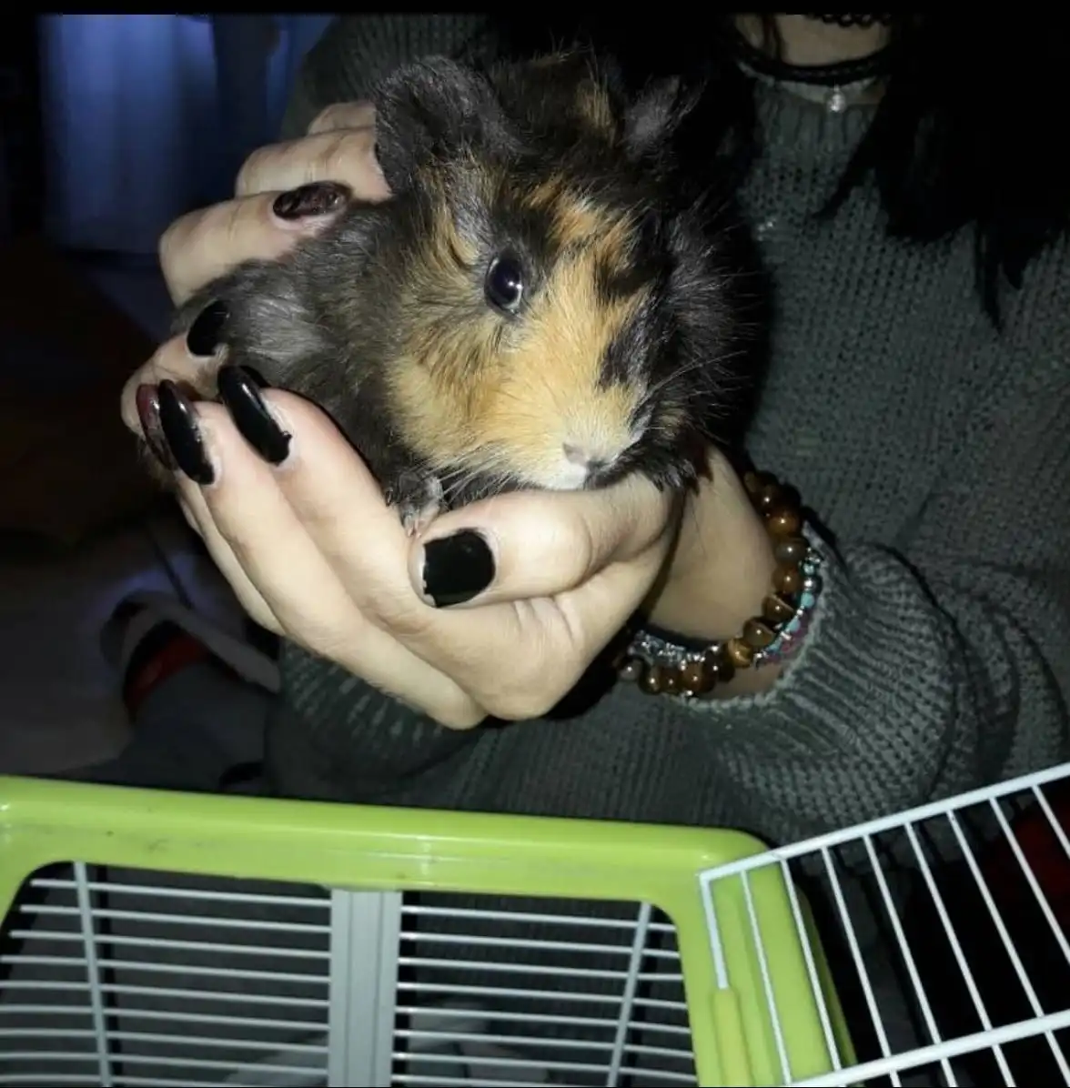 image-6