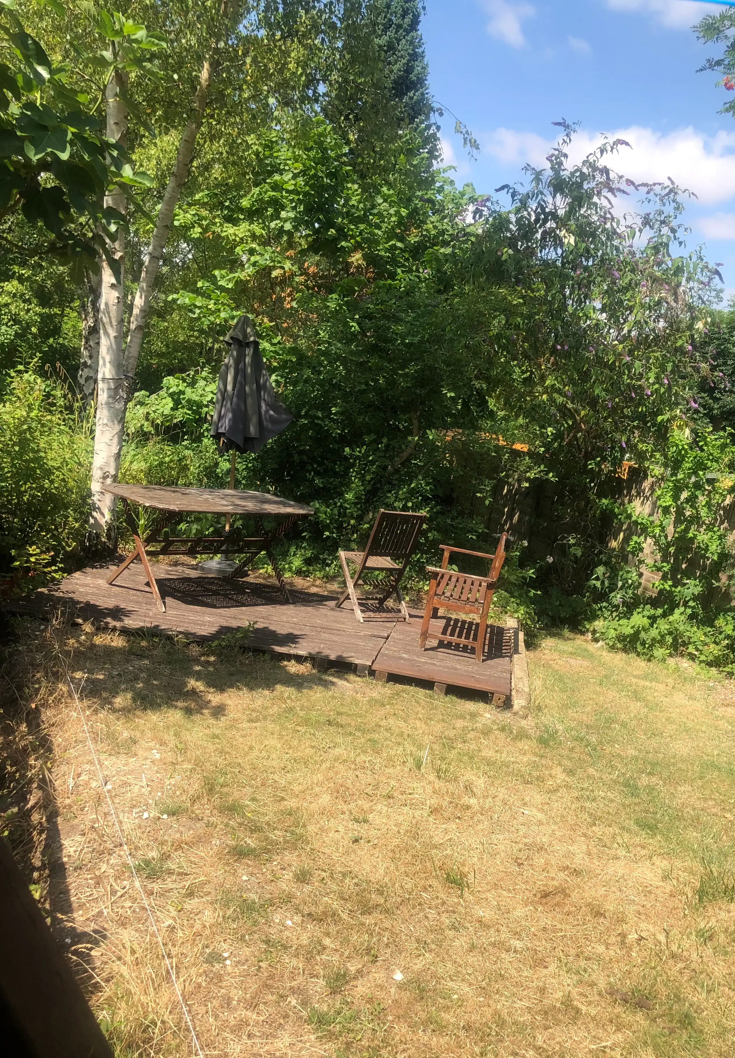 image-20