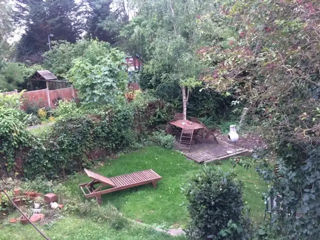 image-7