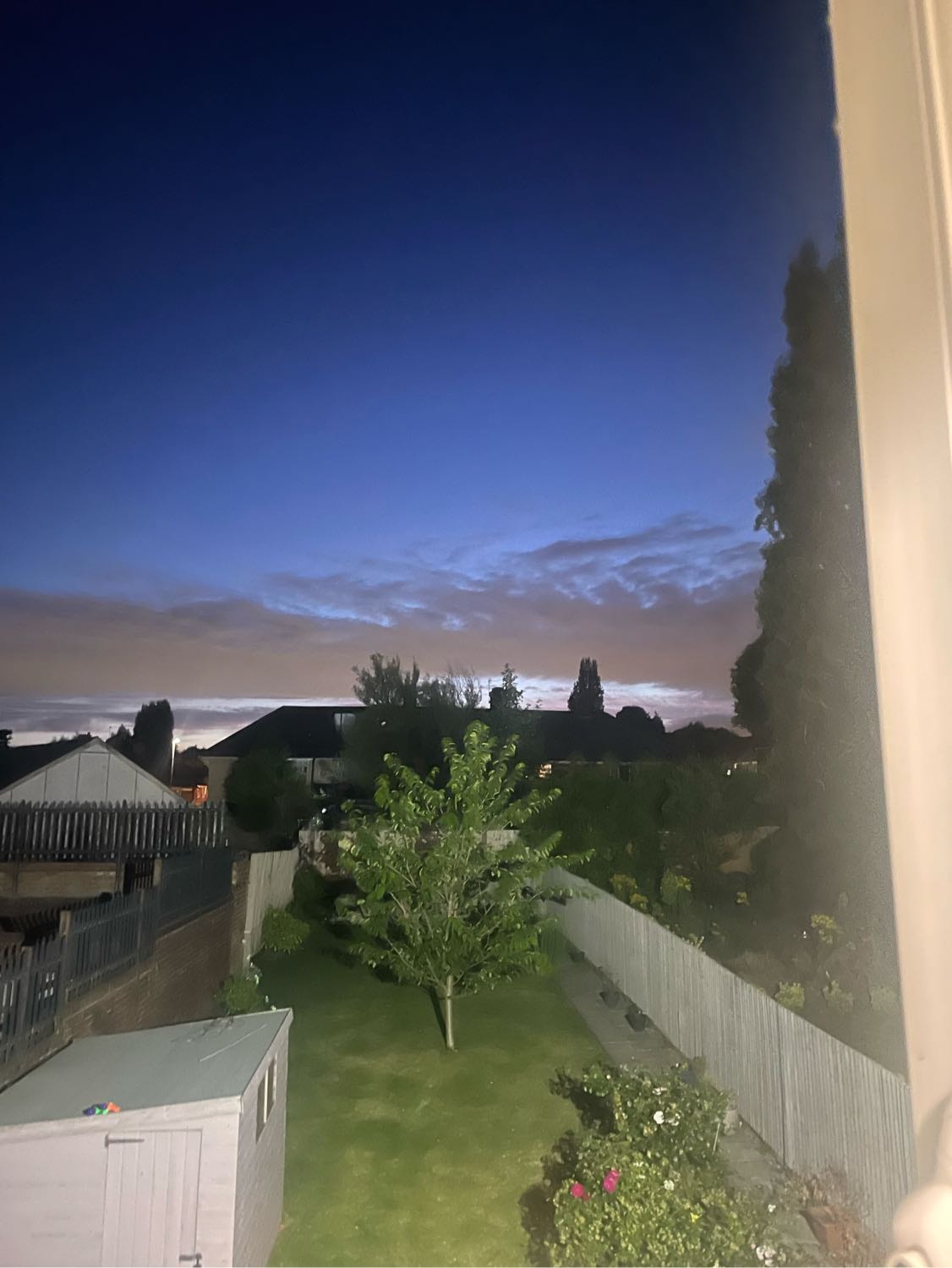 image-3