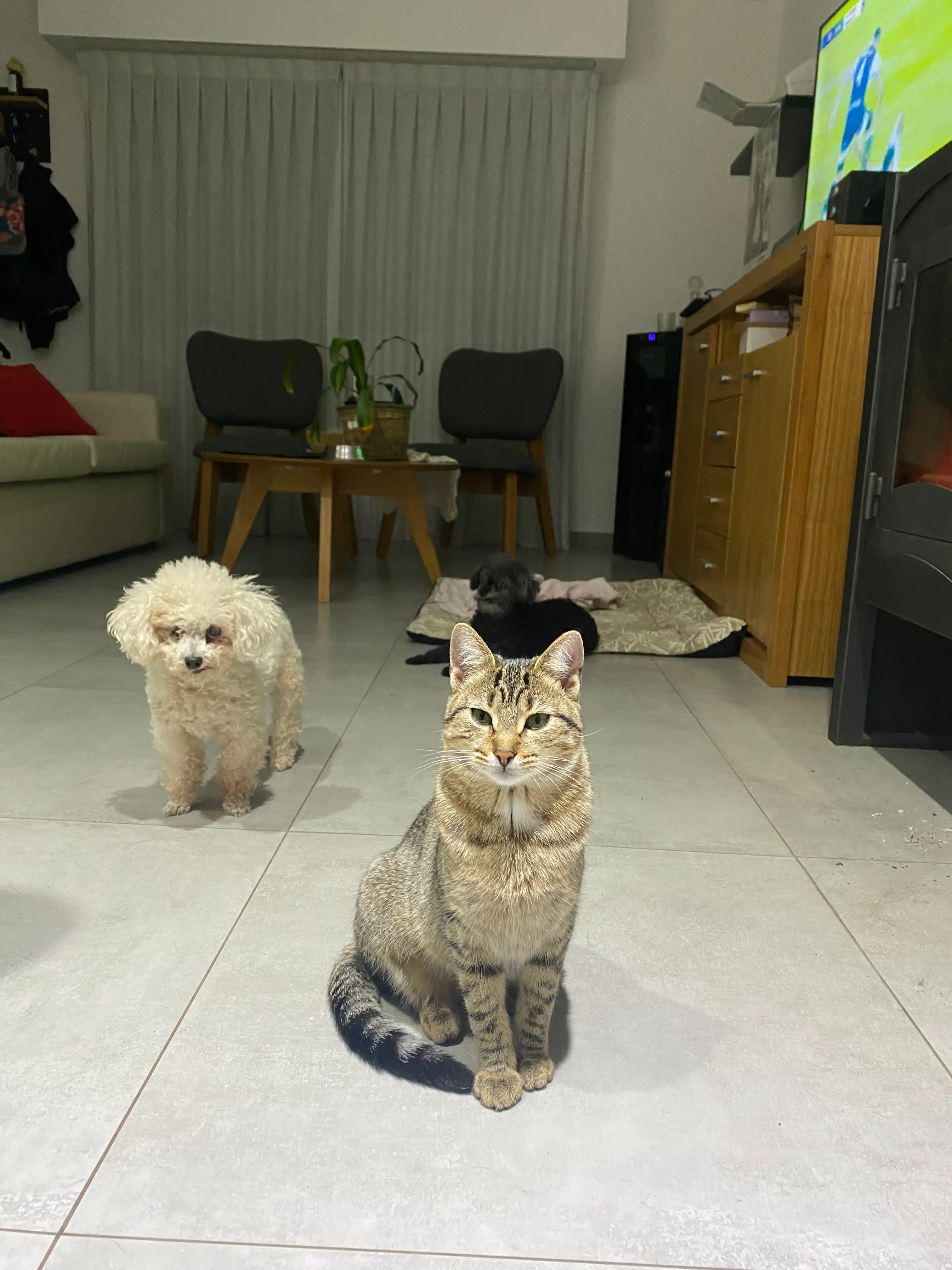 image-9