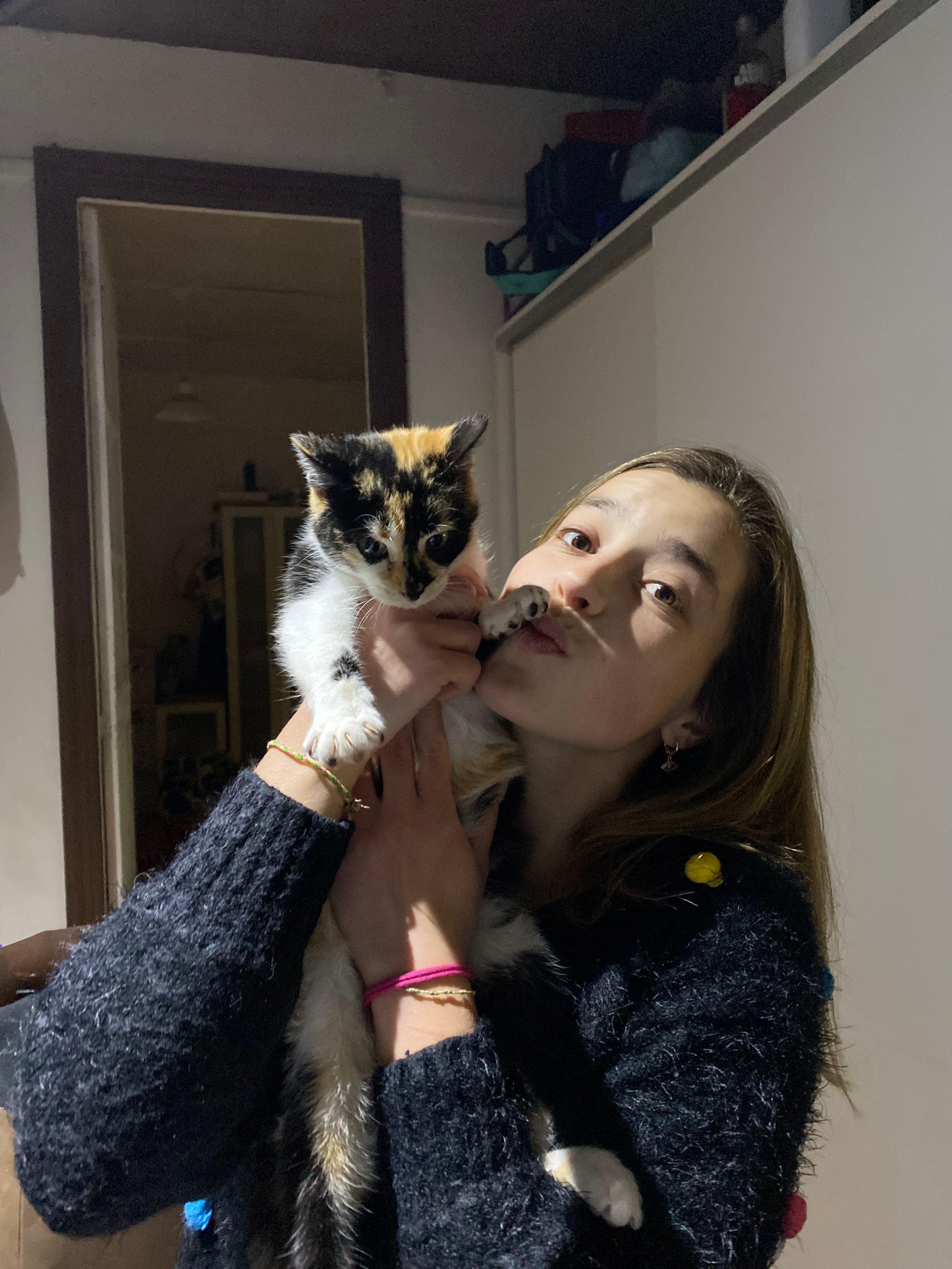 image-6