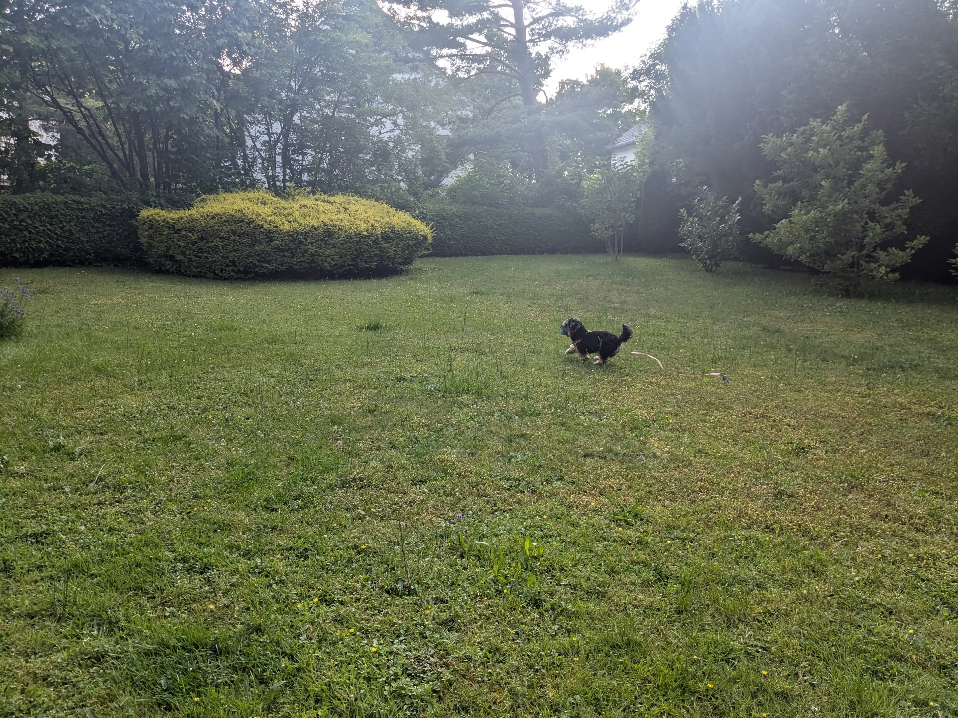 image-13