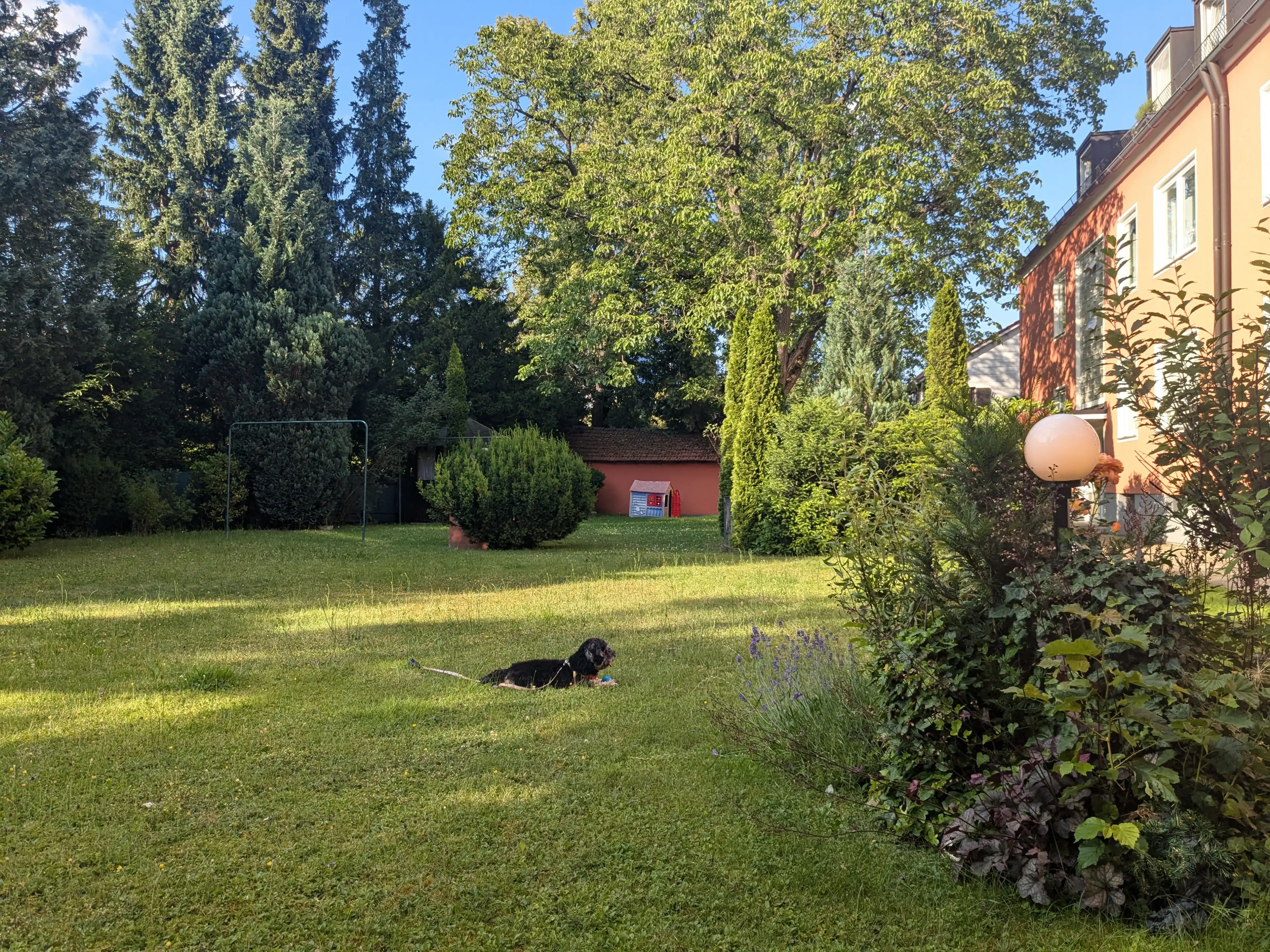 image-12