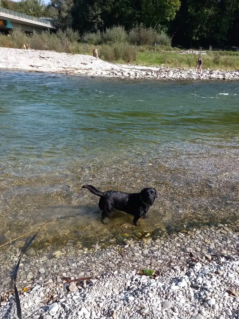 image-9