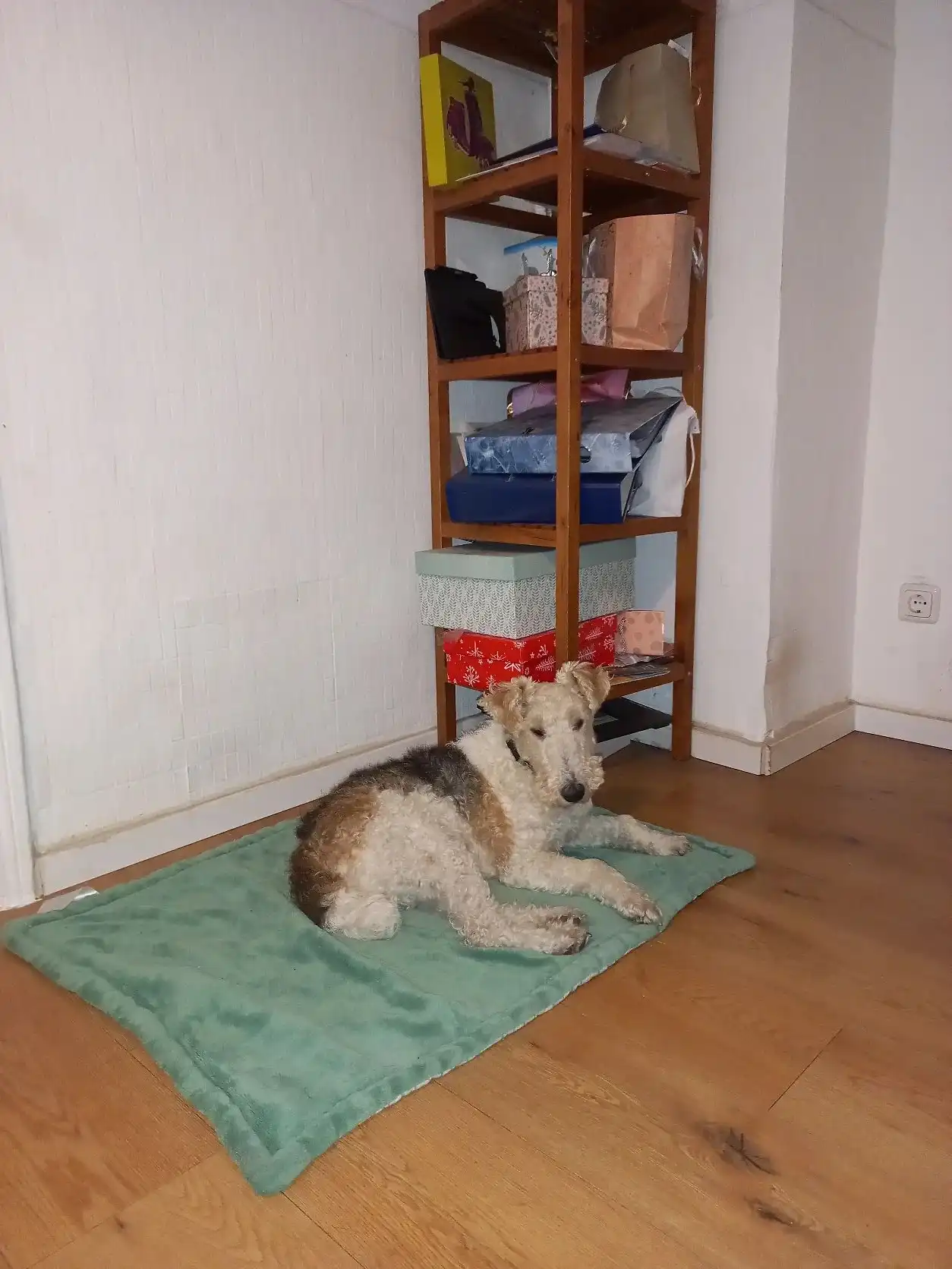 image-49
