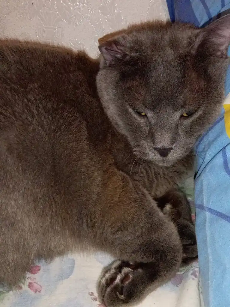 image-6
