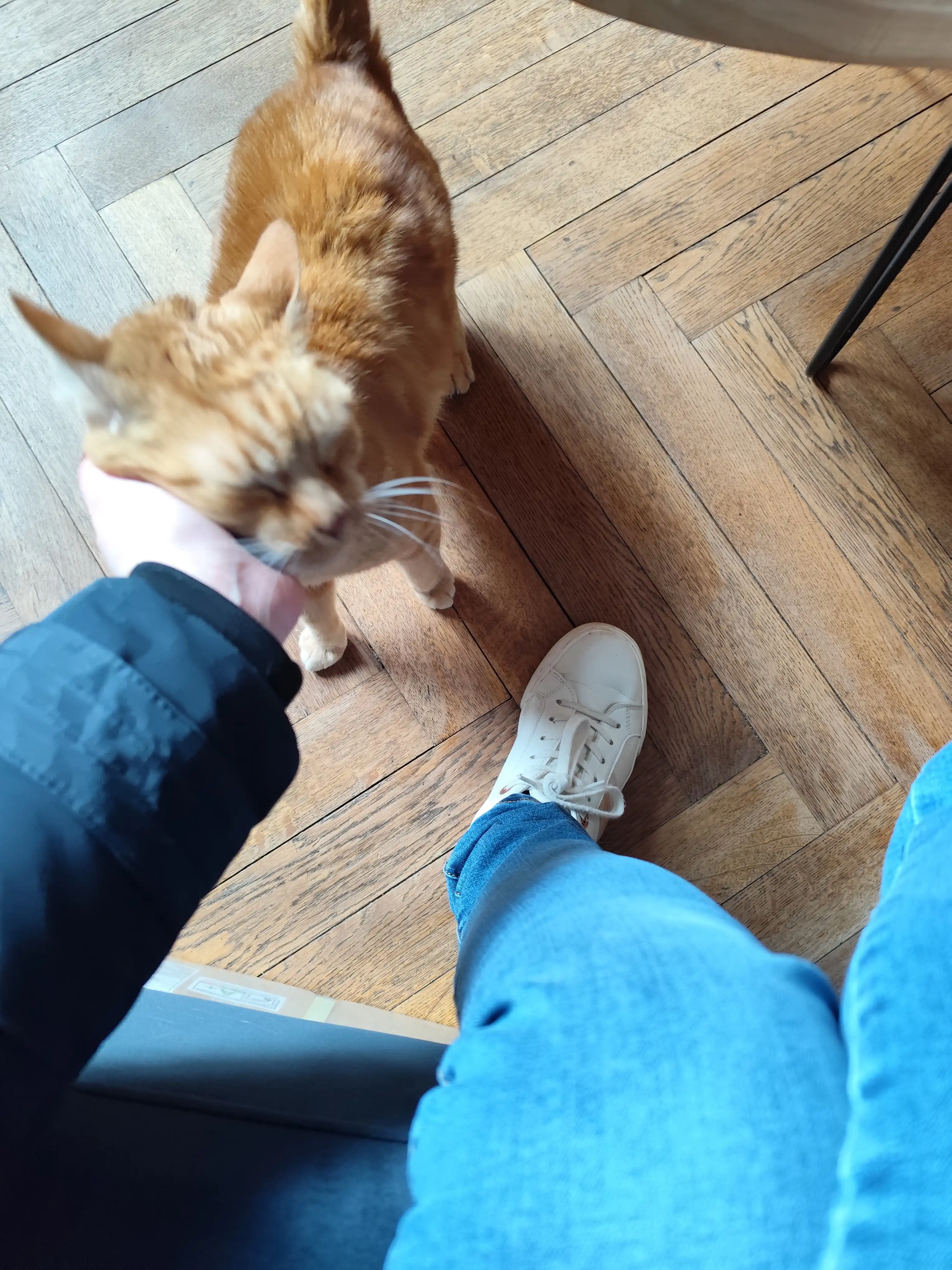 image-10