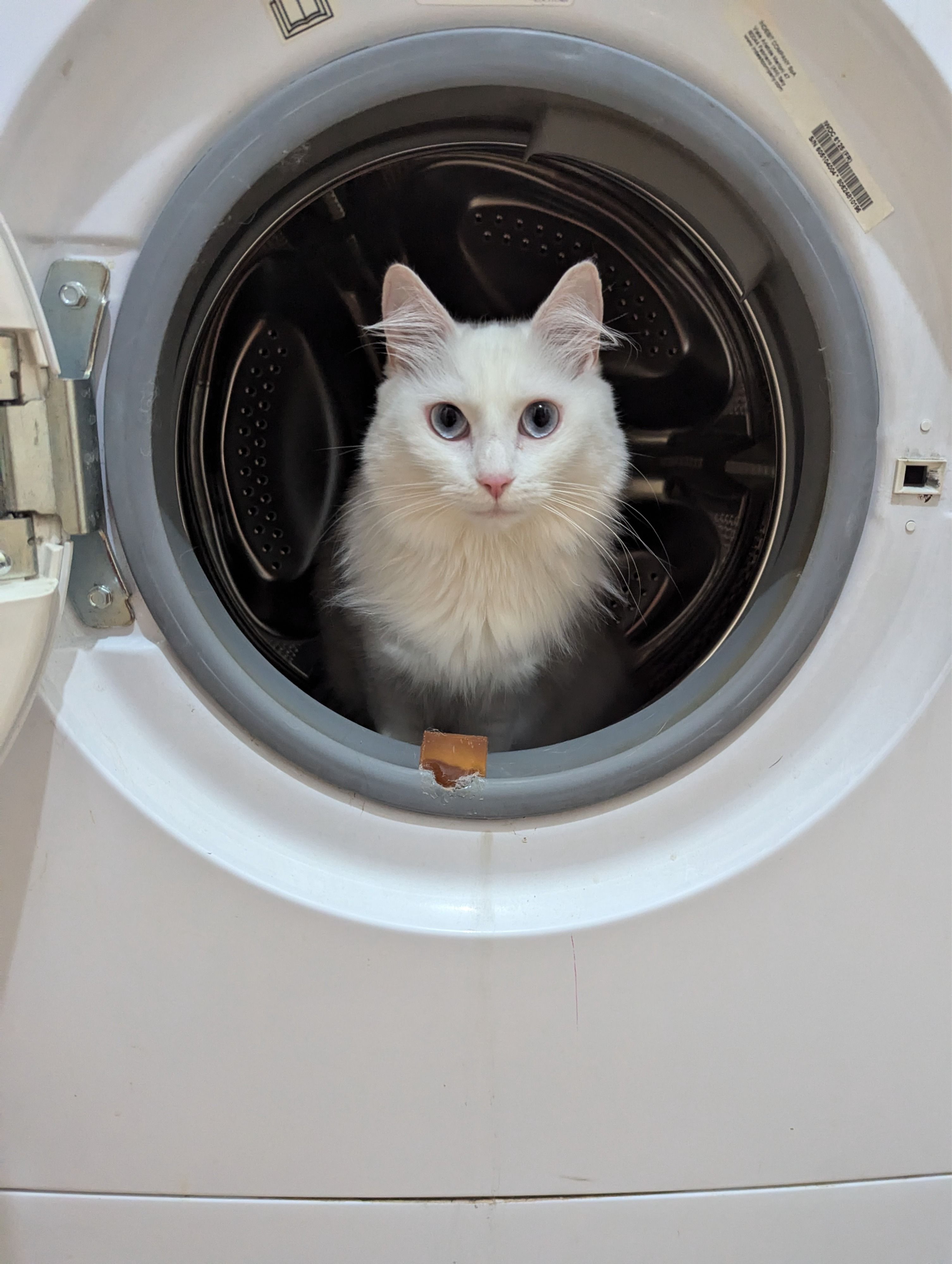 image-6