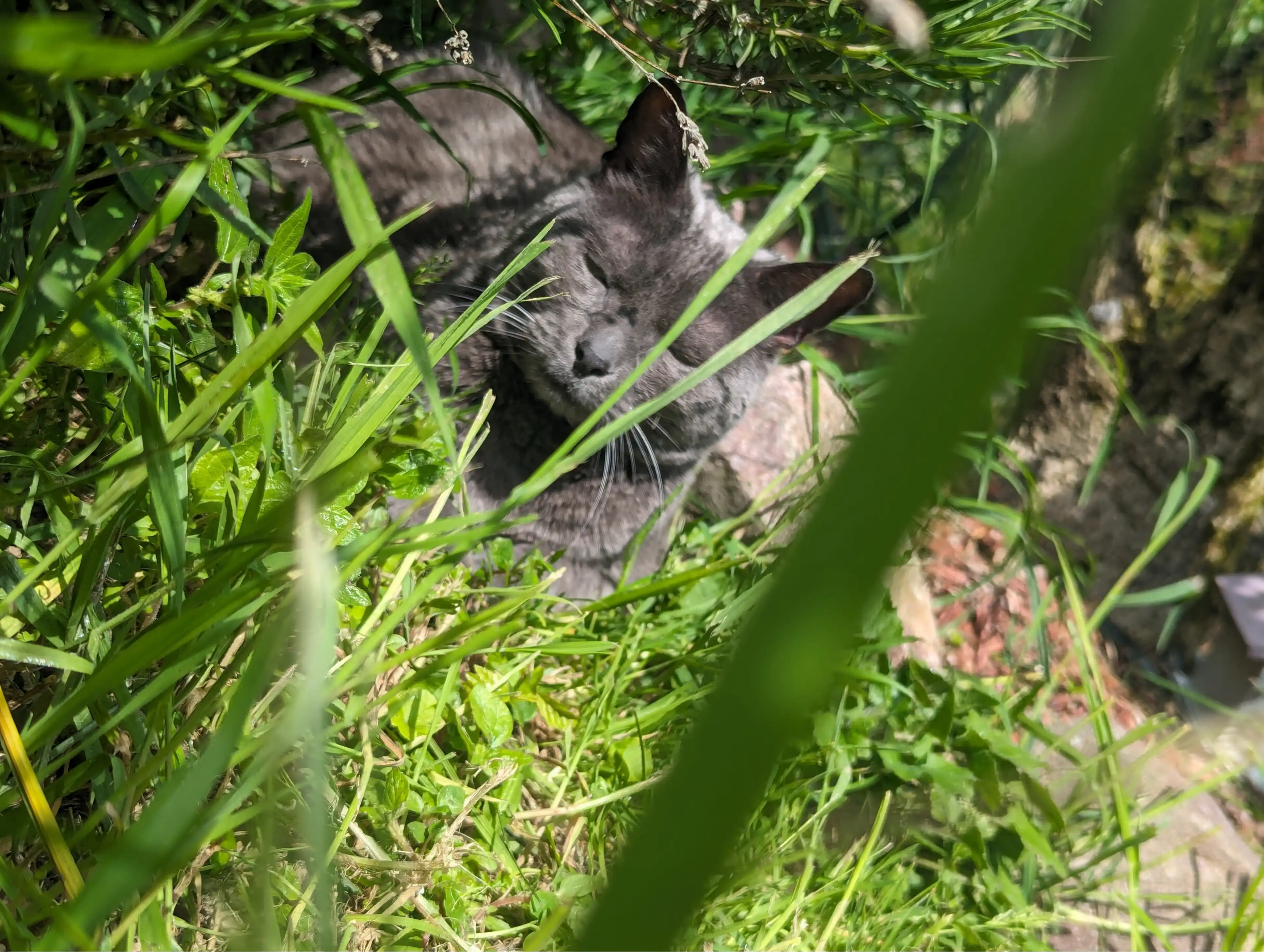image-8