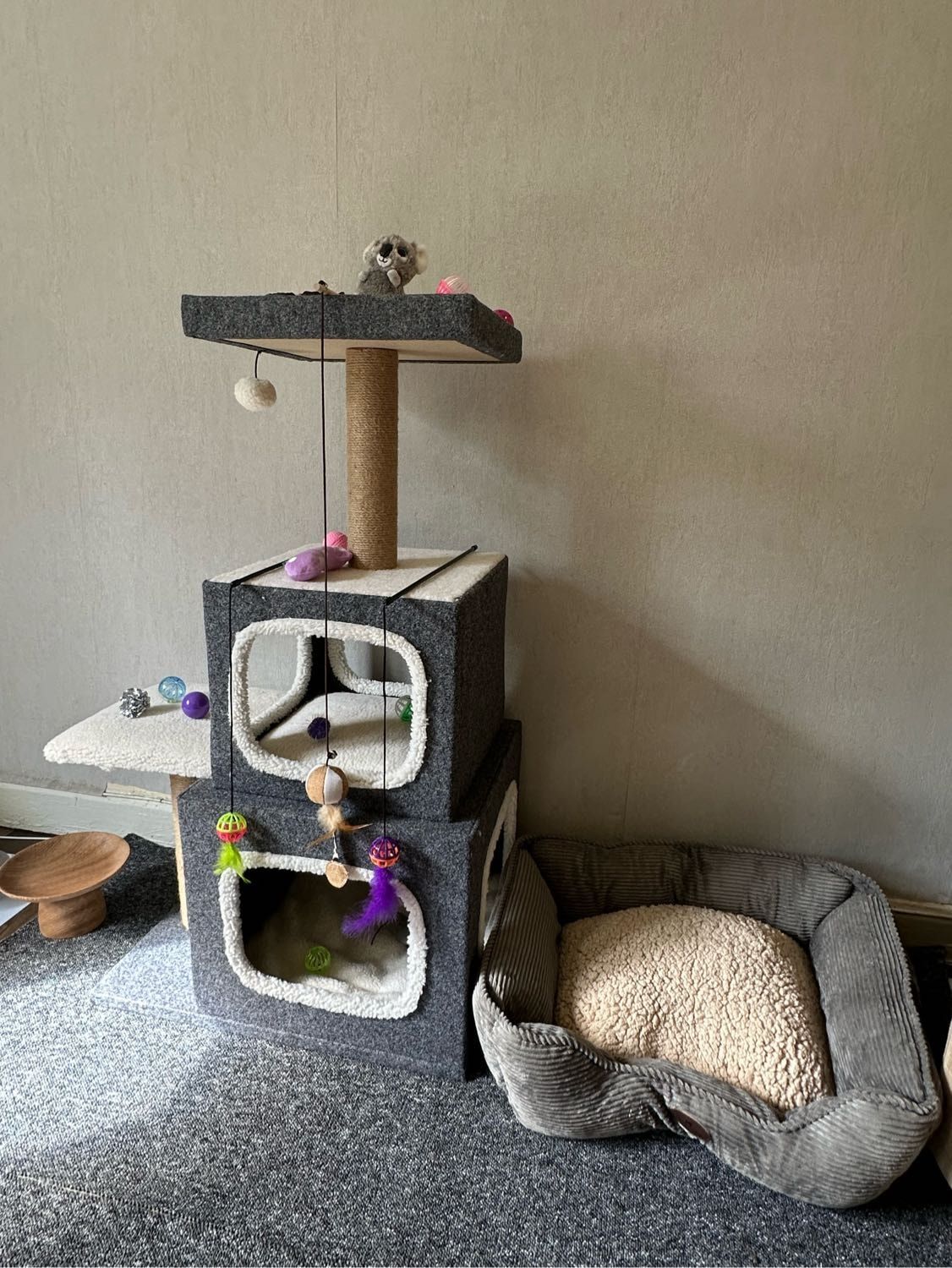 image-4