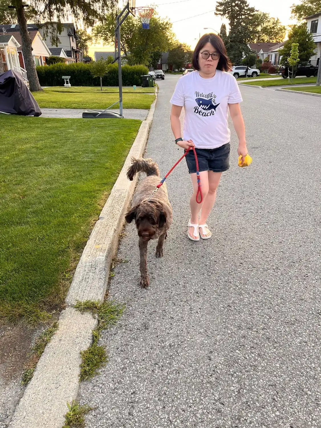 image-19