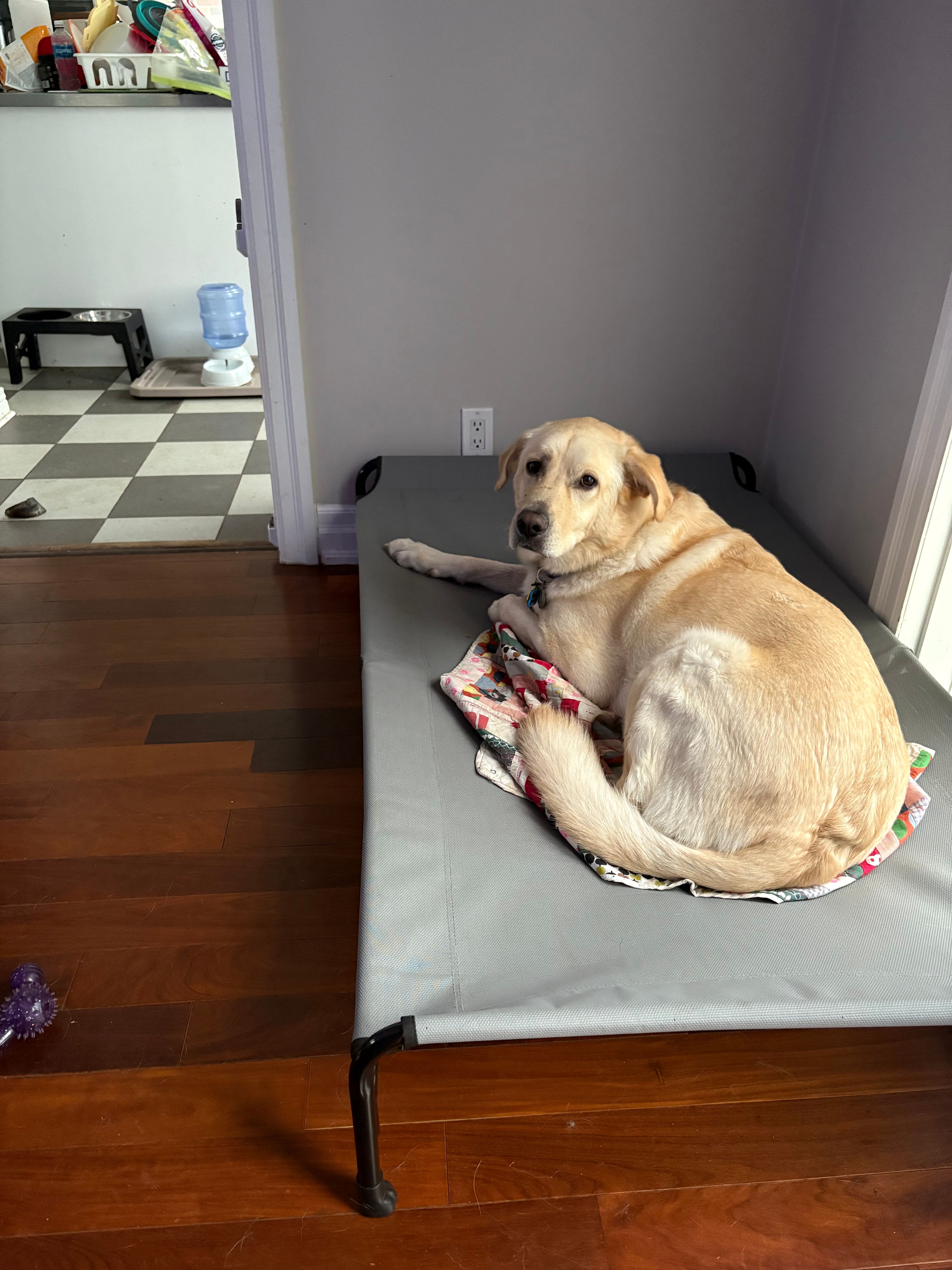 image-27