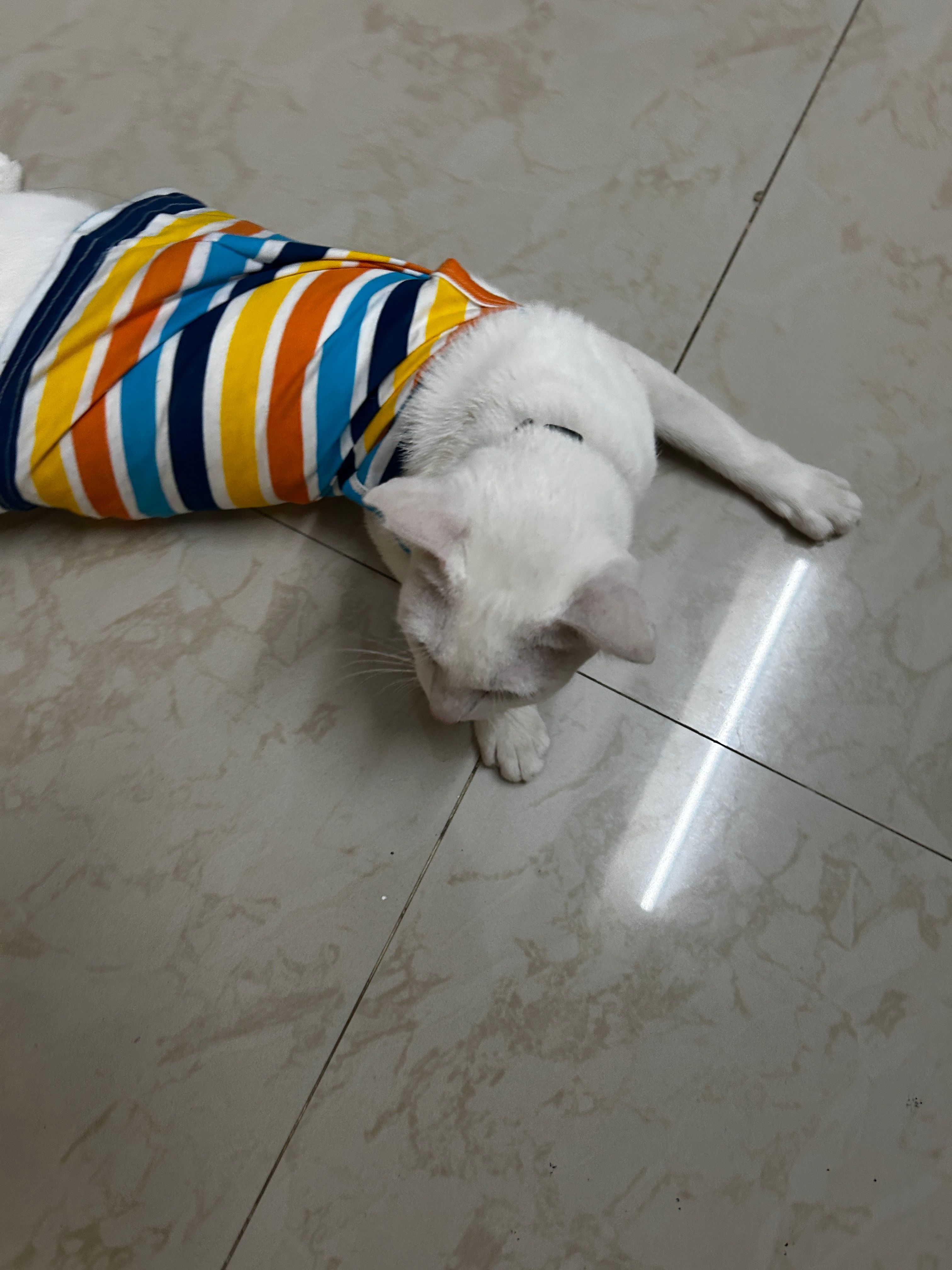 image-5