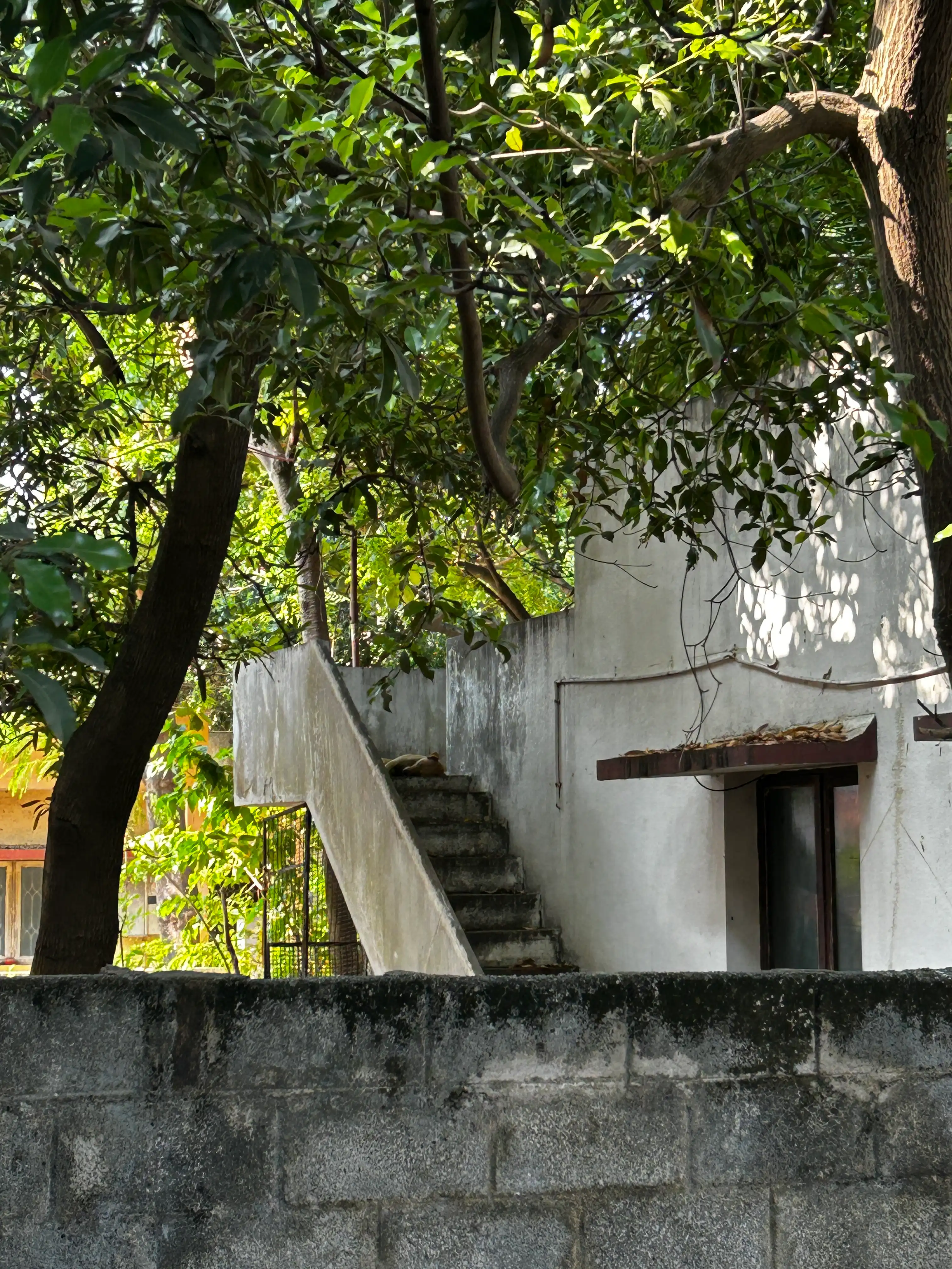 image-21