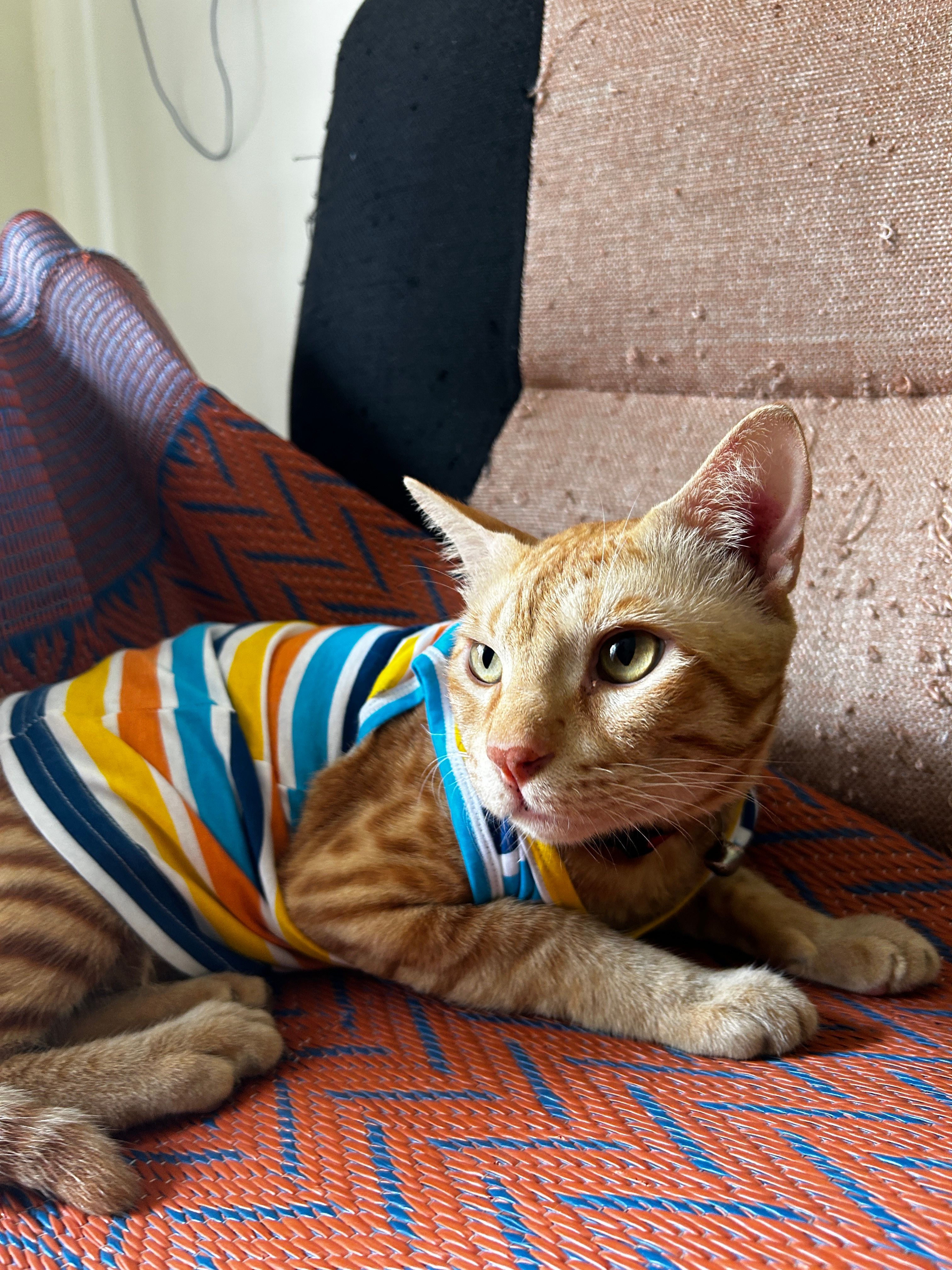 image-8