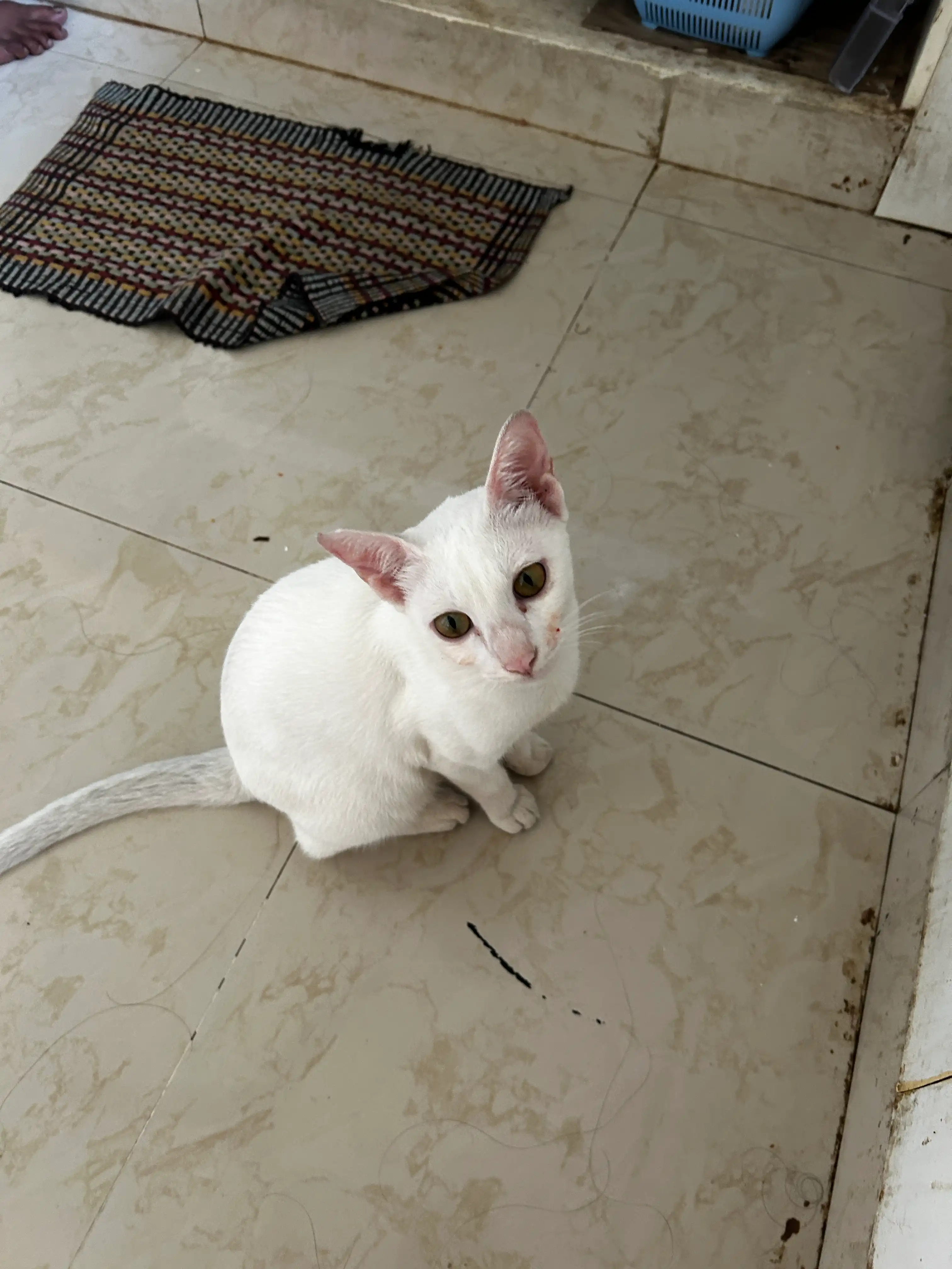 image-7