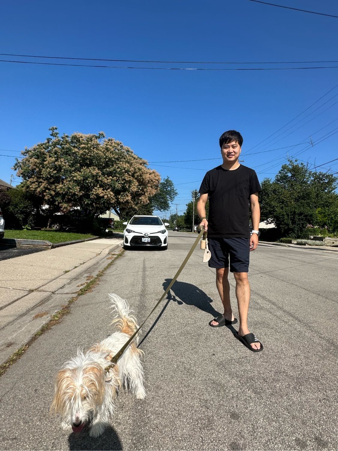 image-14