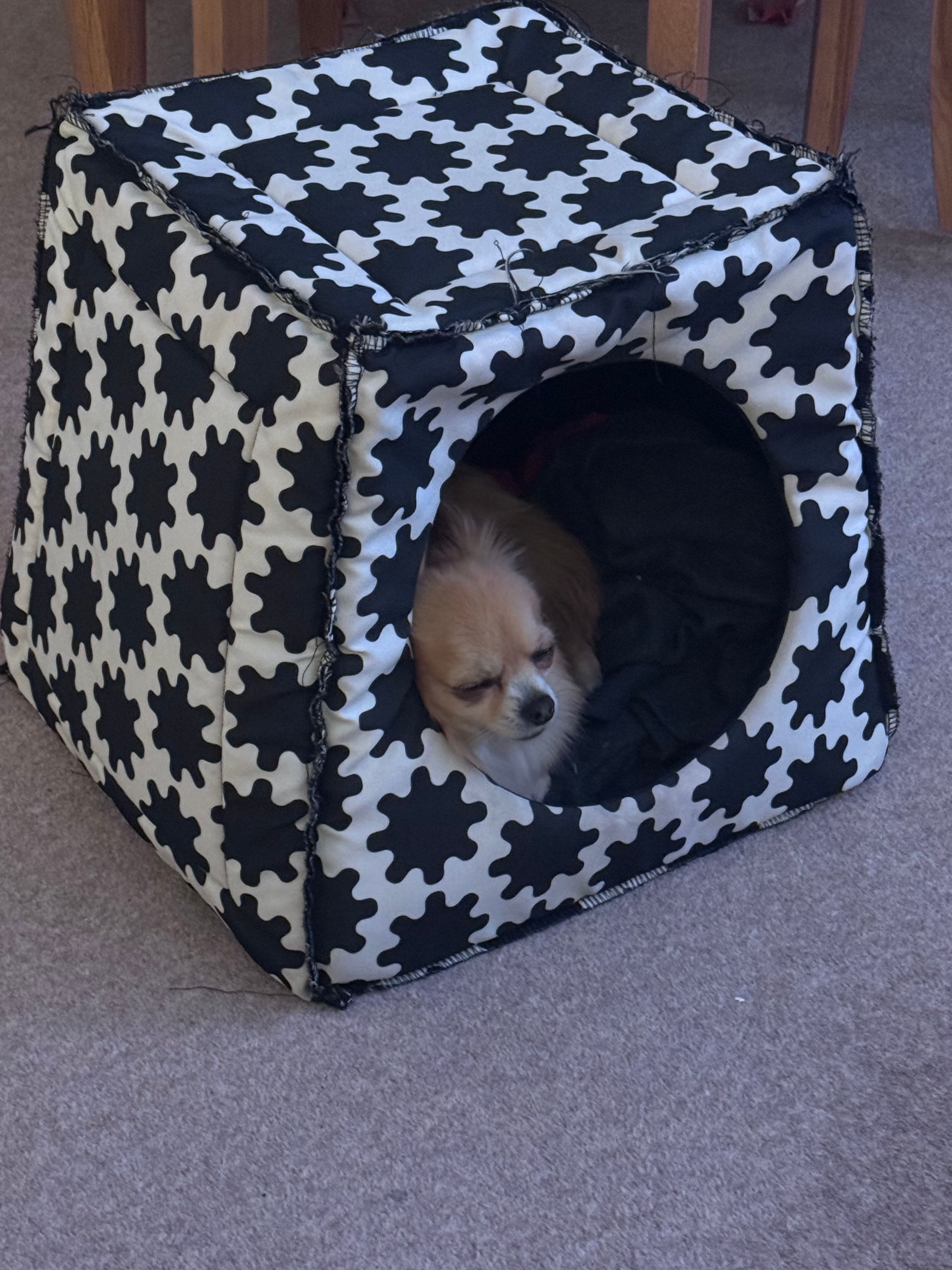 image-6