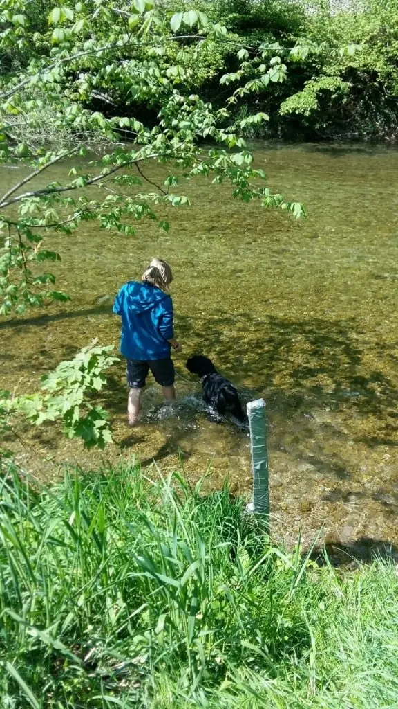 image-2