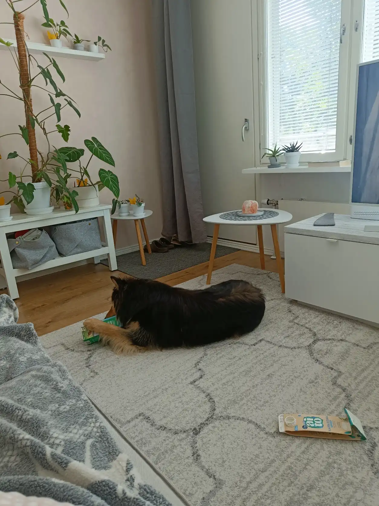 image-7