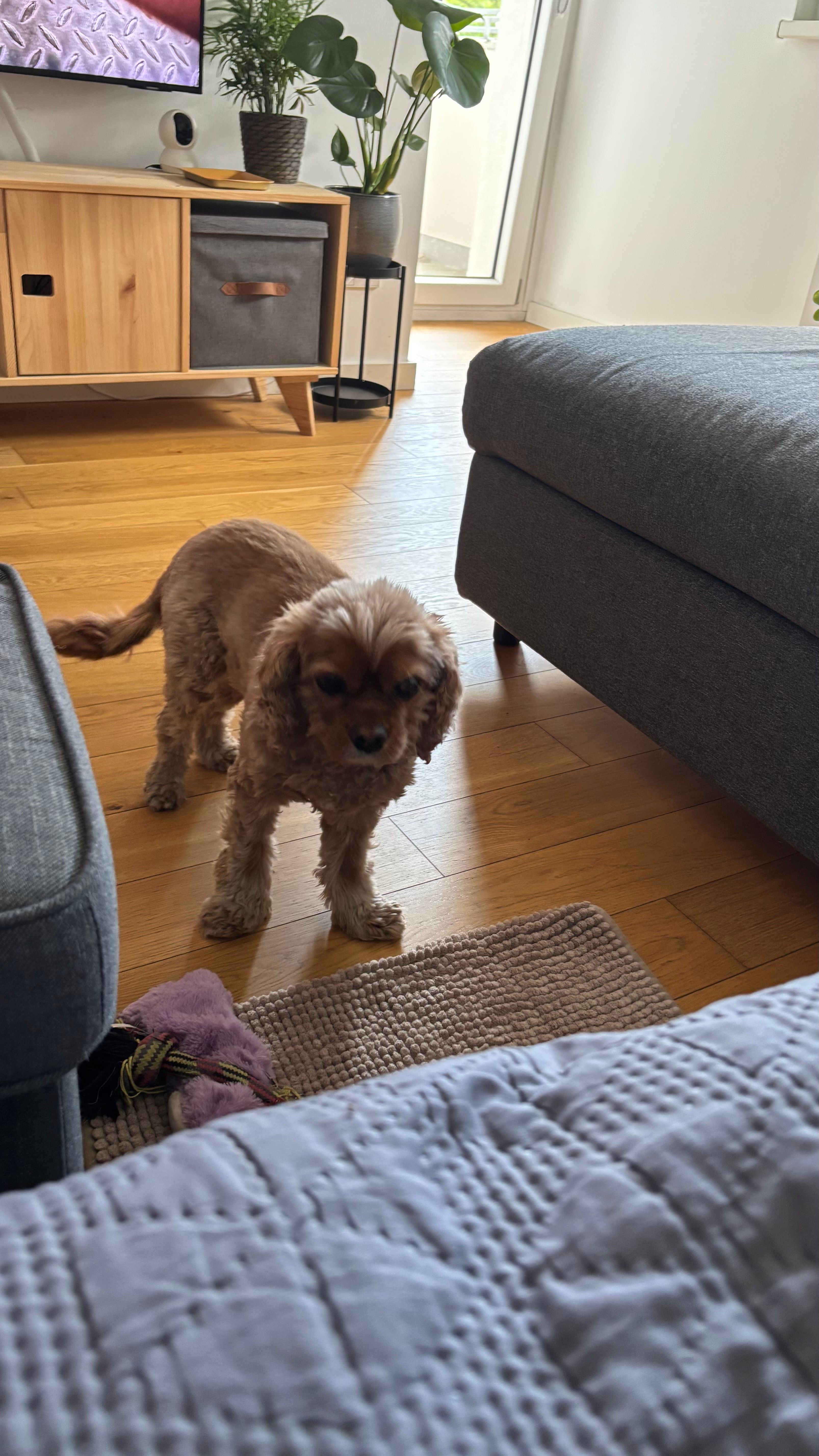 image-16