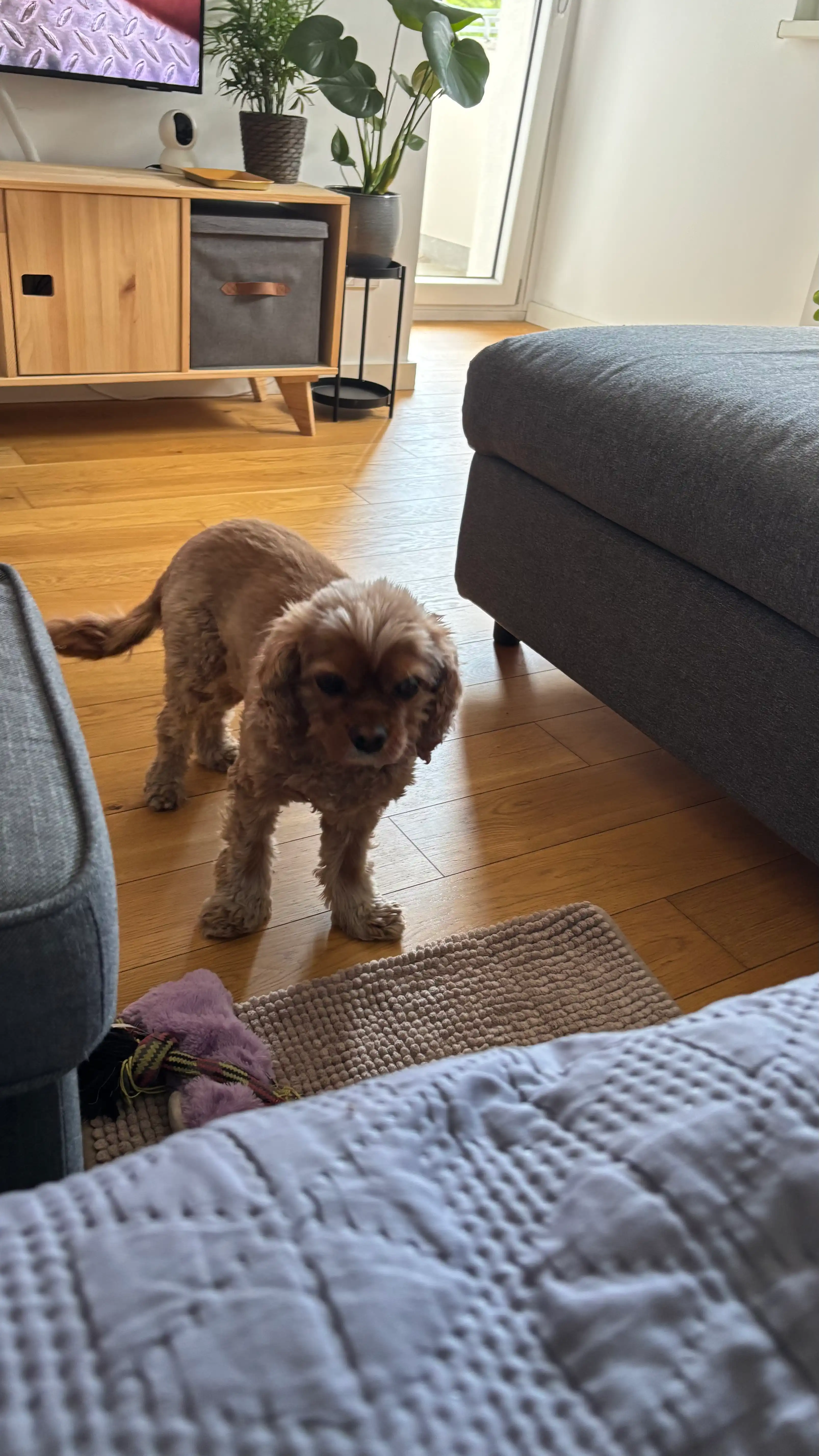 image-16