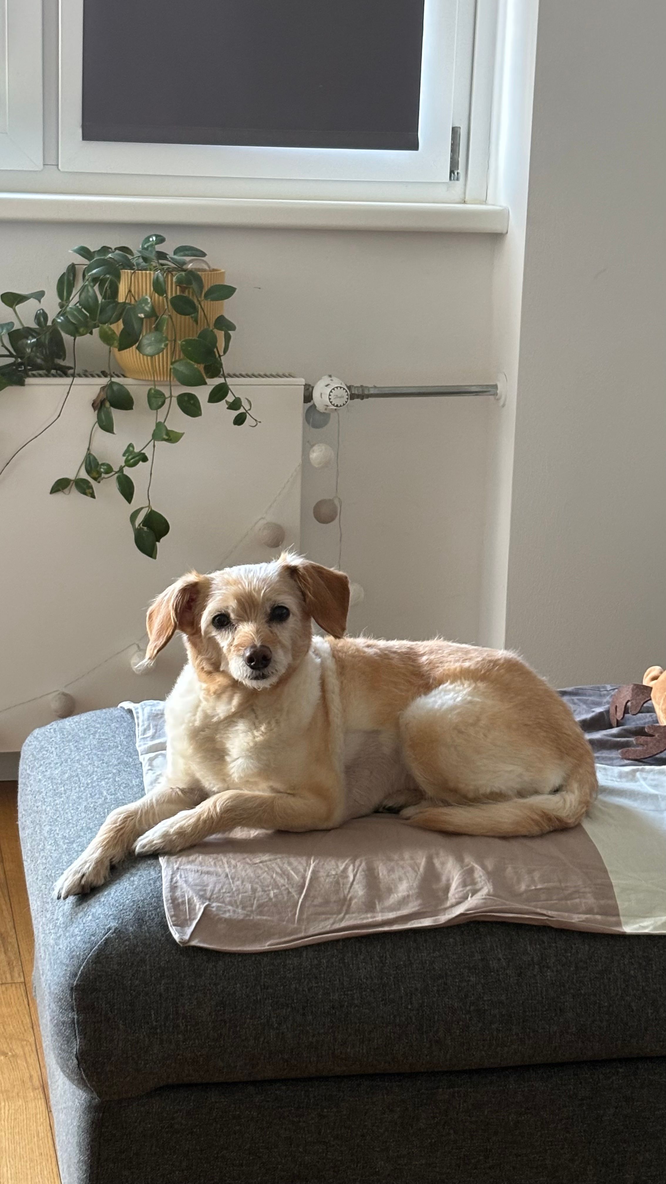 image-18