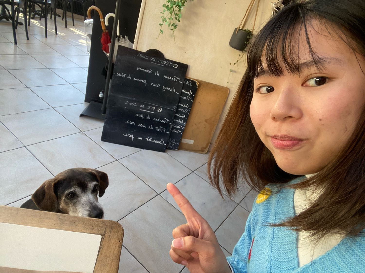 image-6