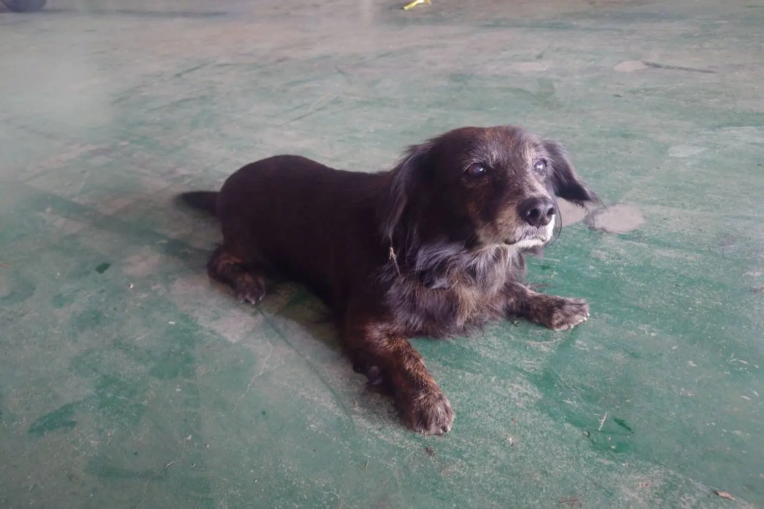 image-3