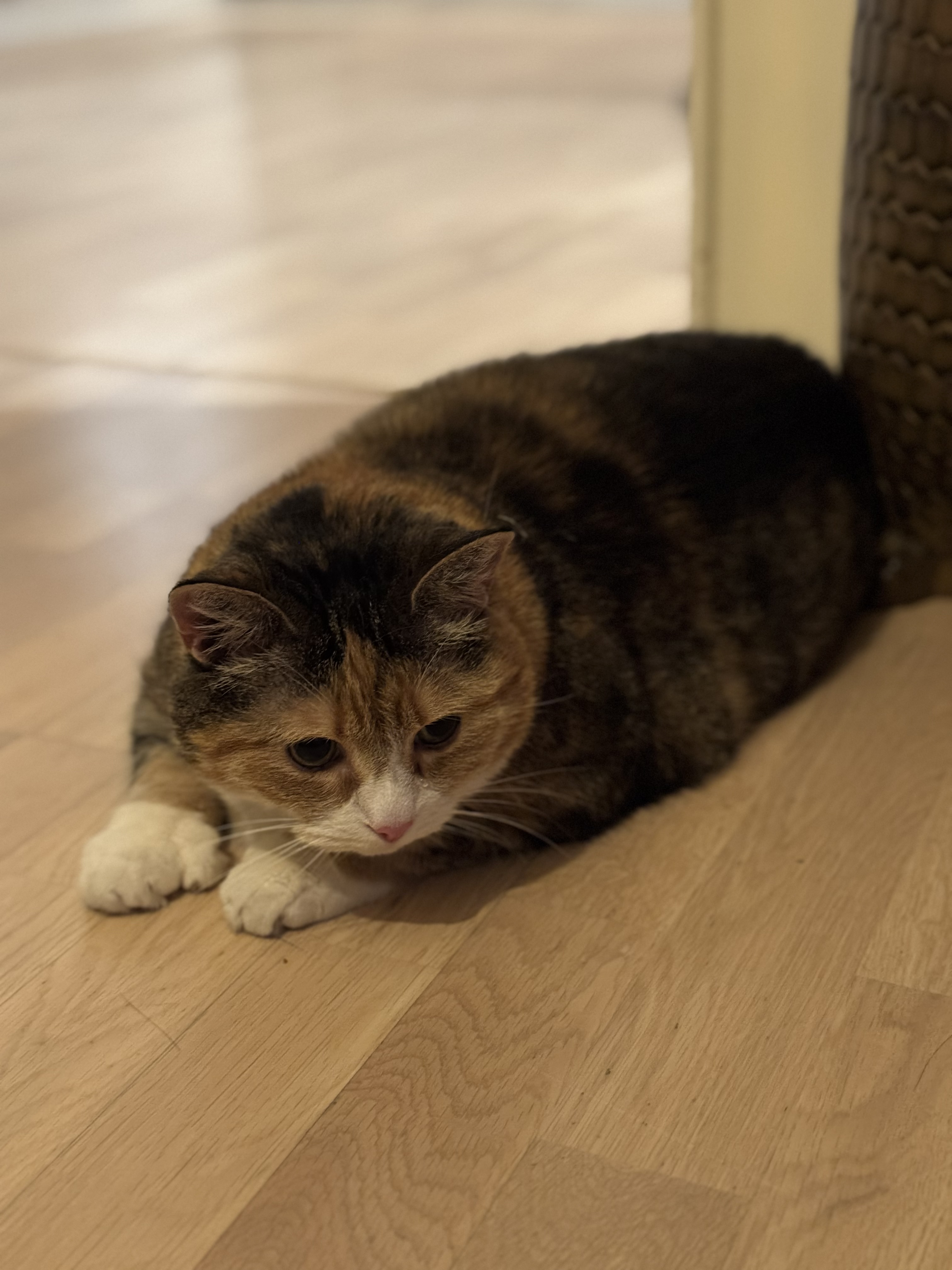 image-16