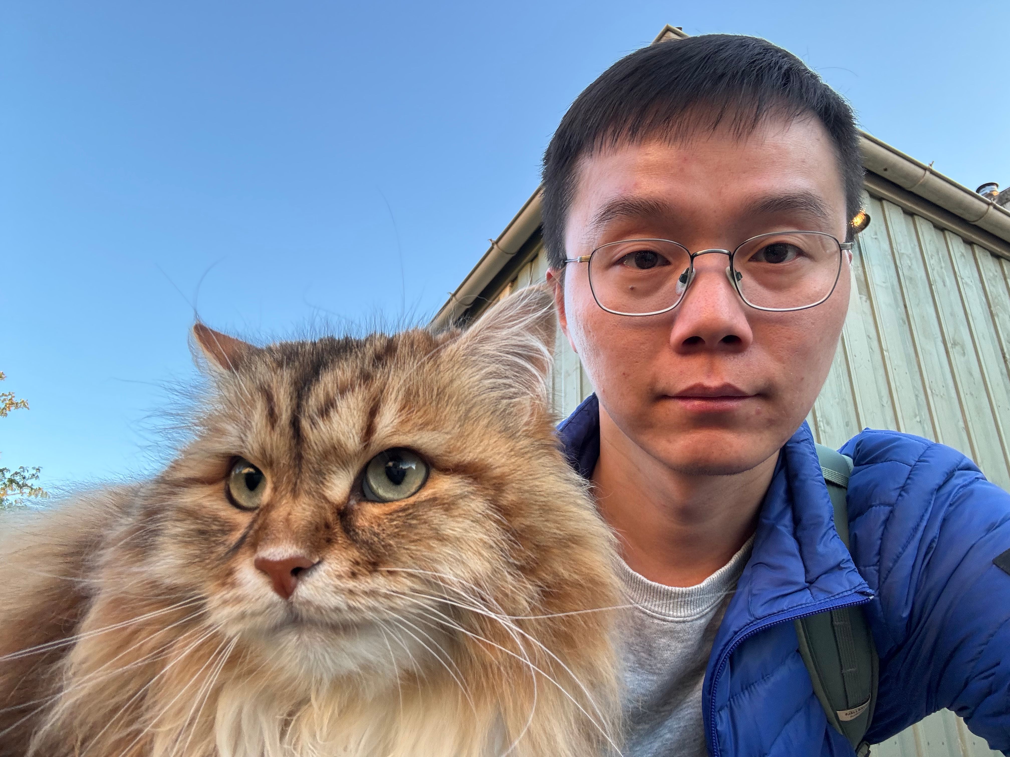 image-6