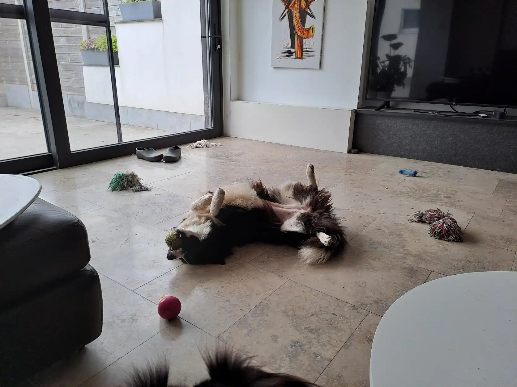 image-16