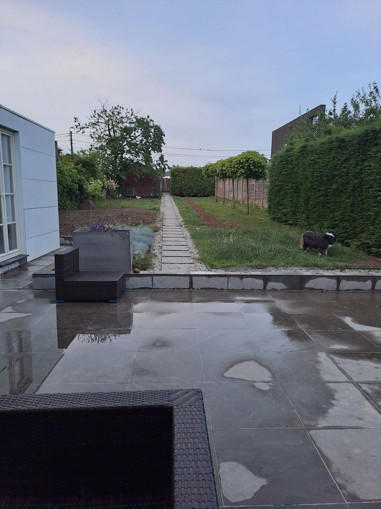 image-20