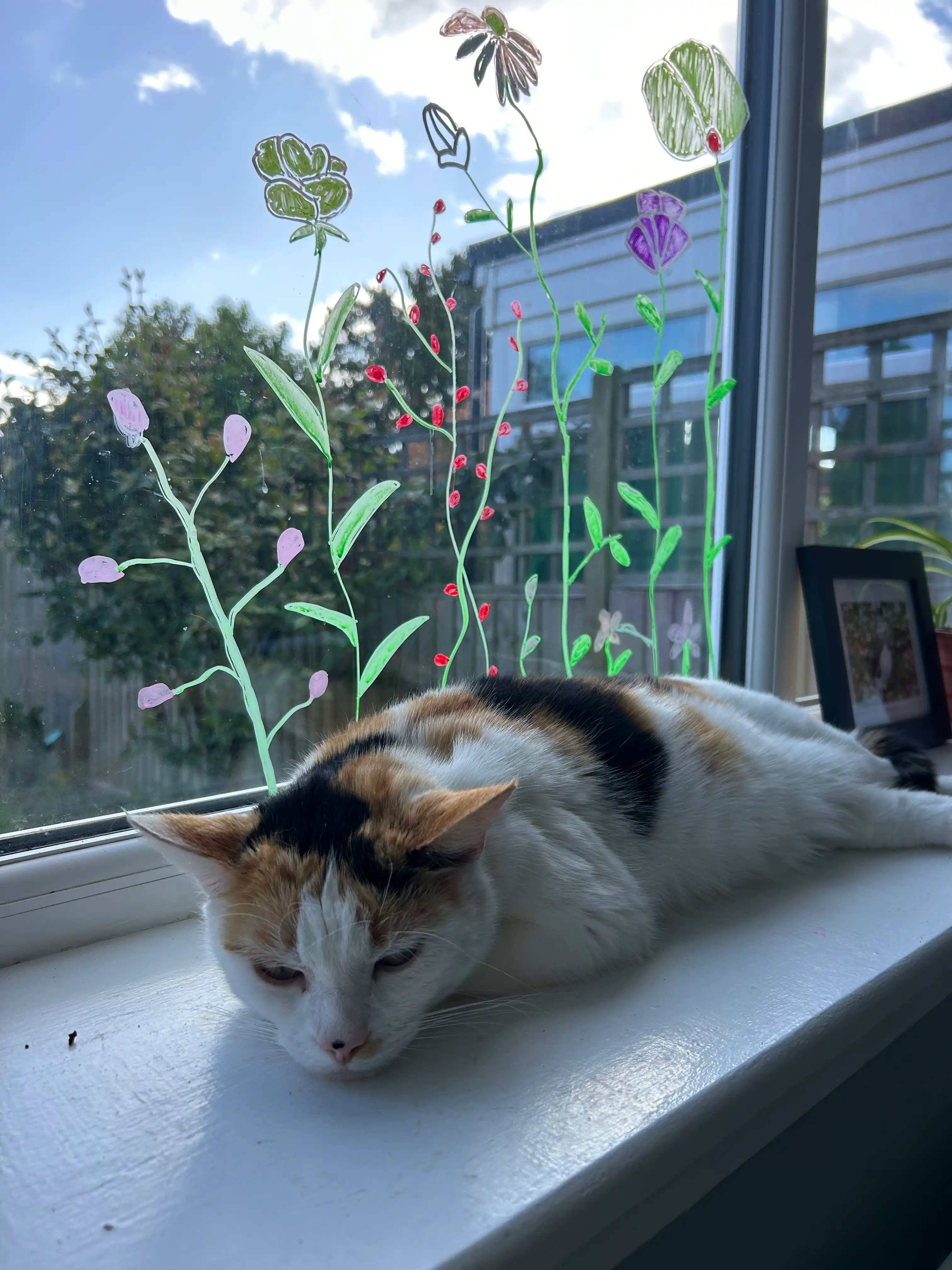 image-12