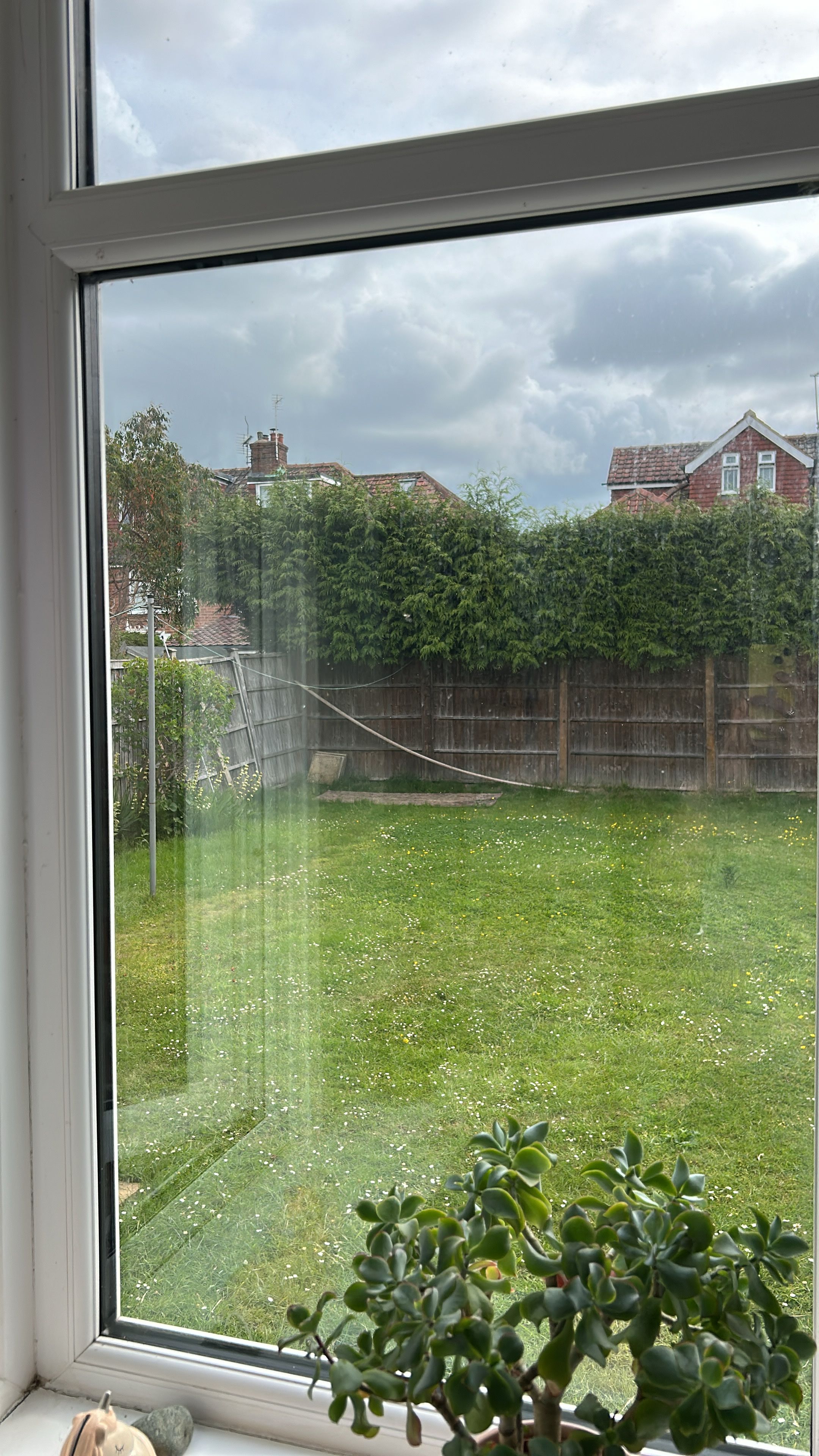 image-17