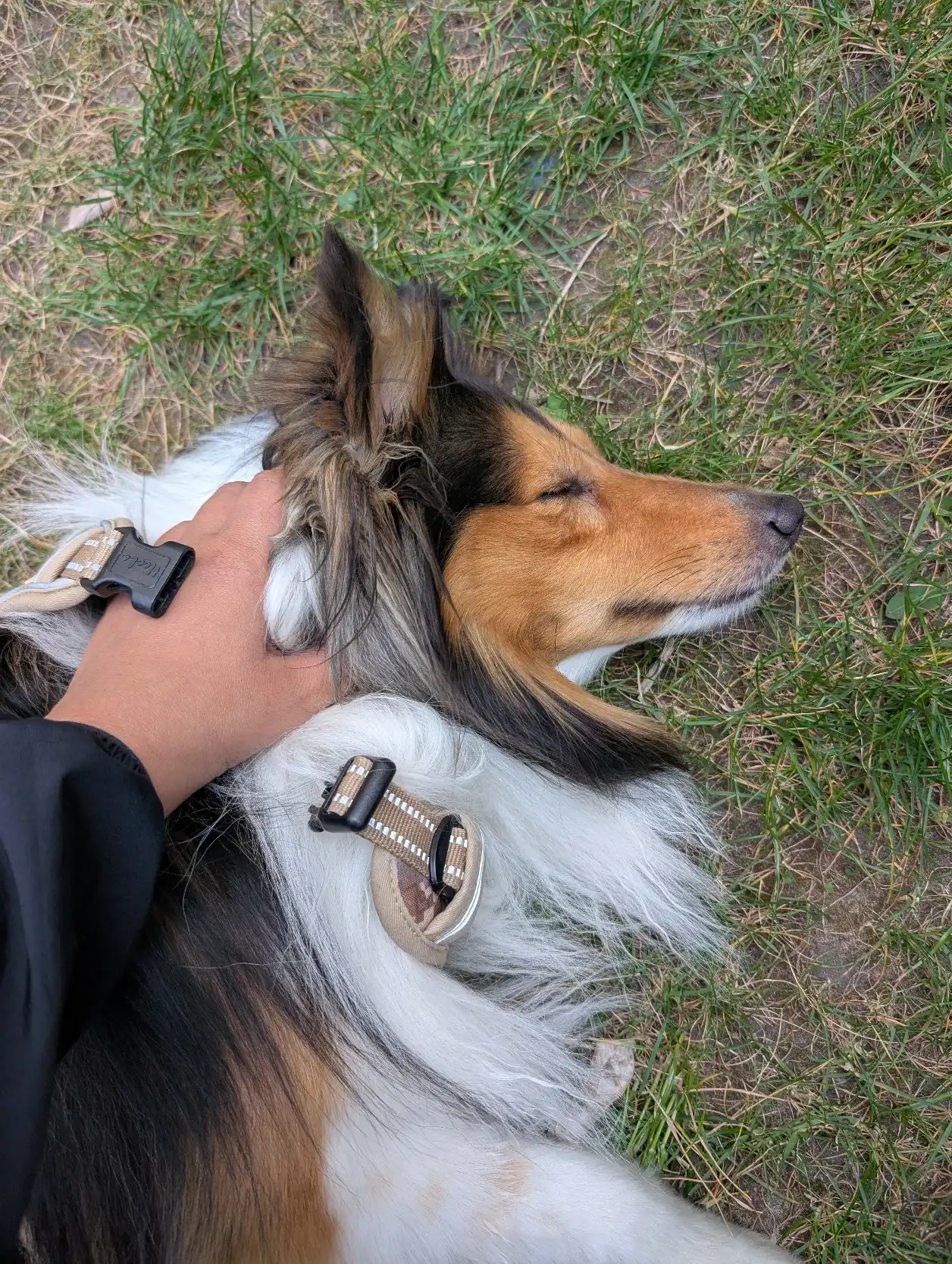 image-13