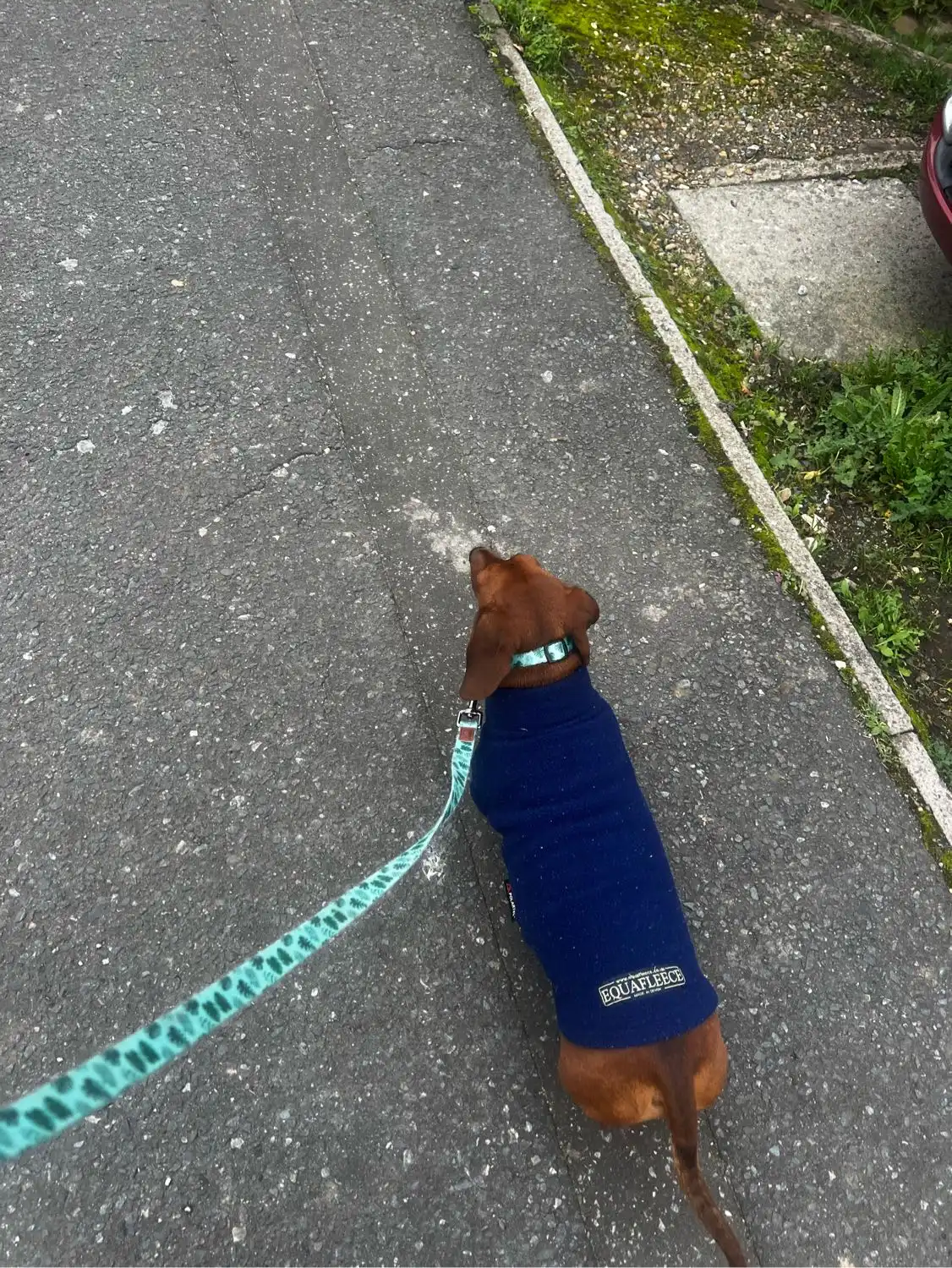 image-7