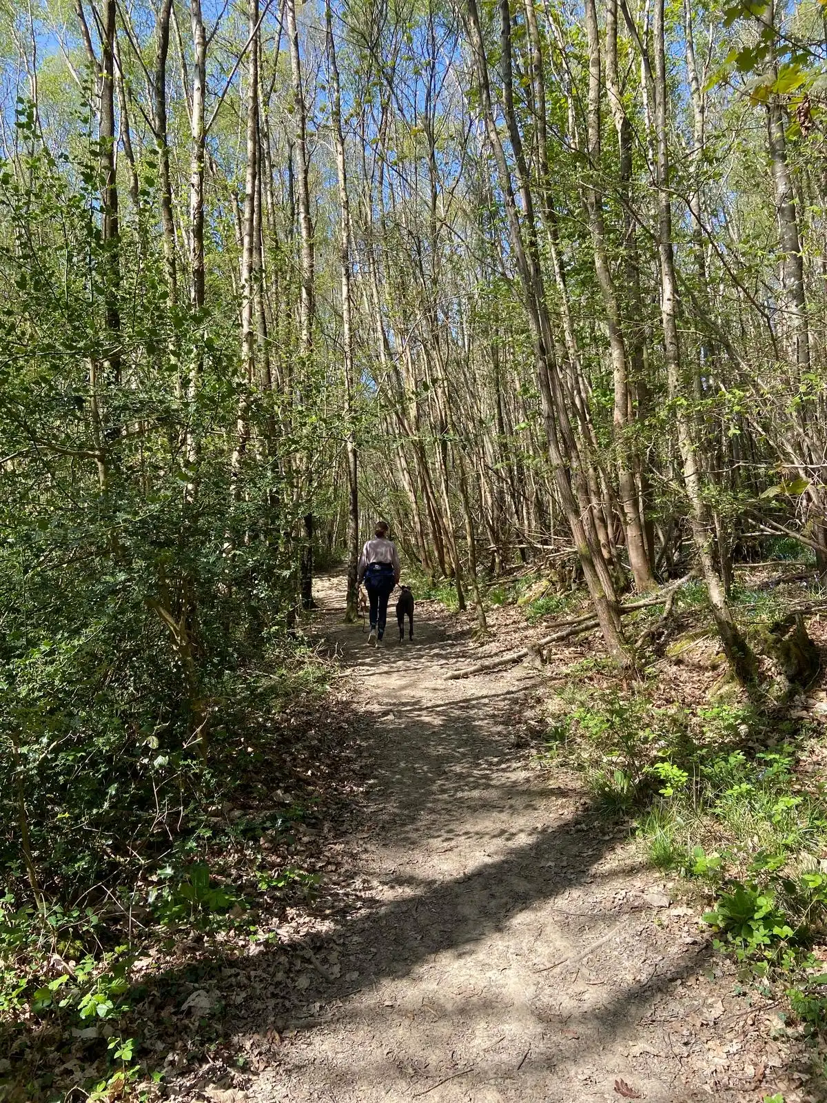 image-11