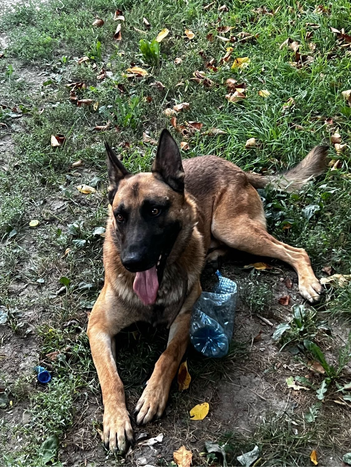 image-6