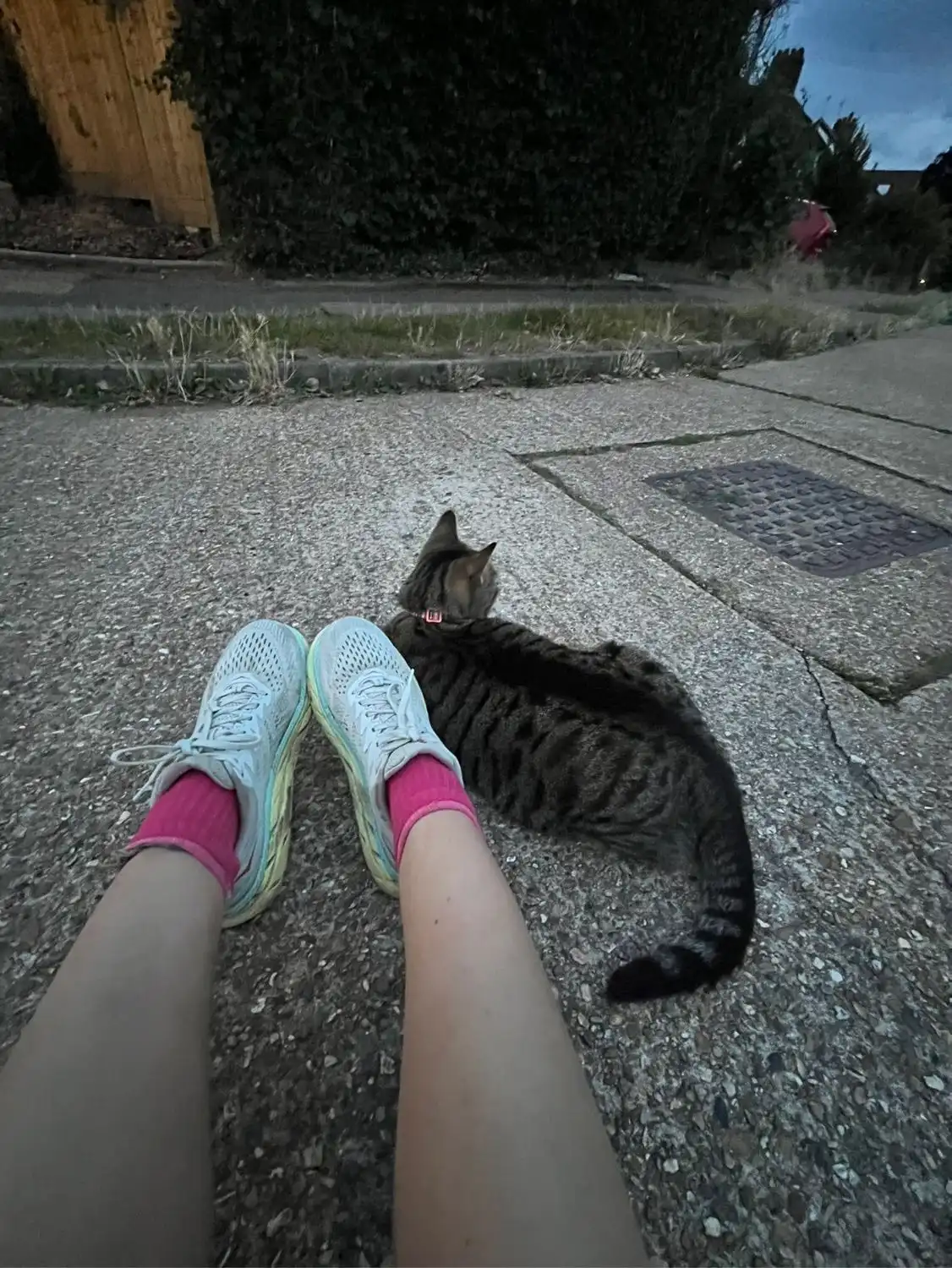 image-9