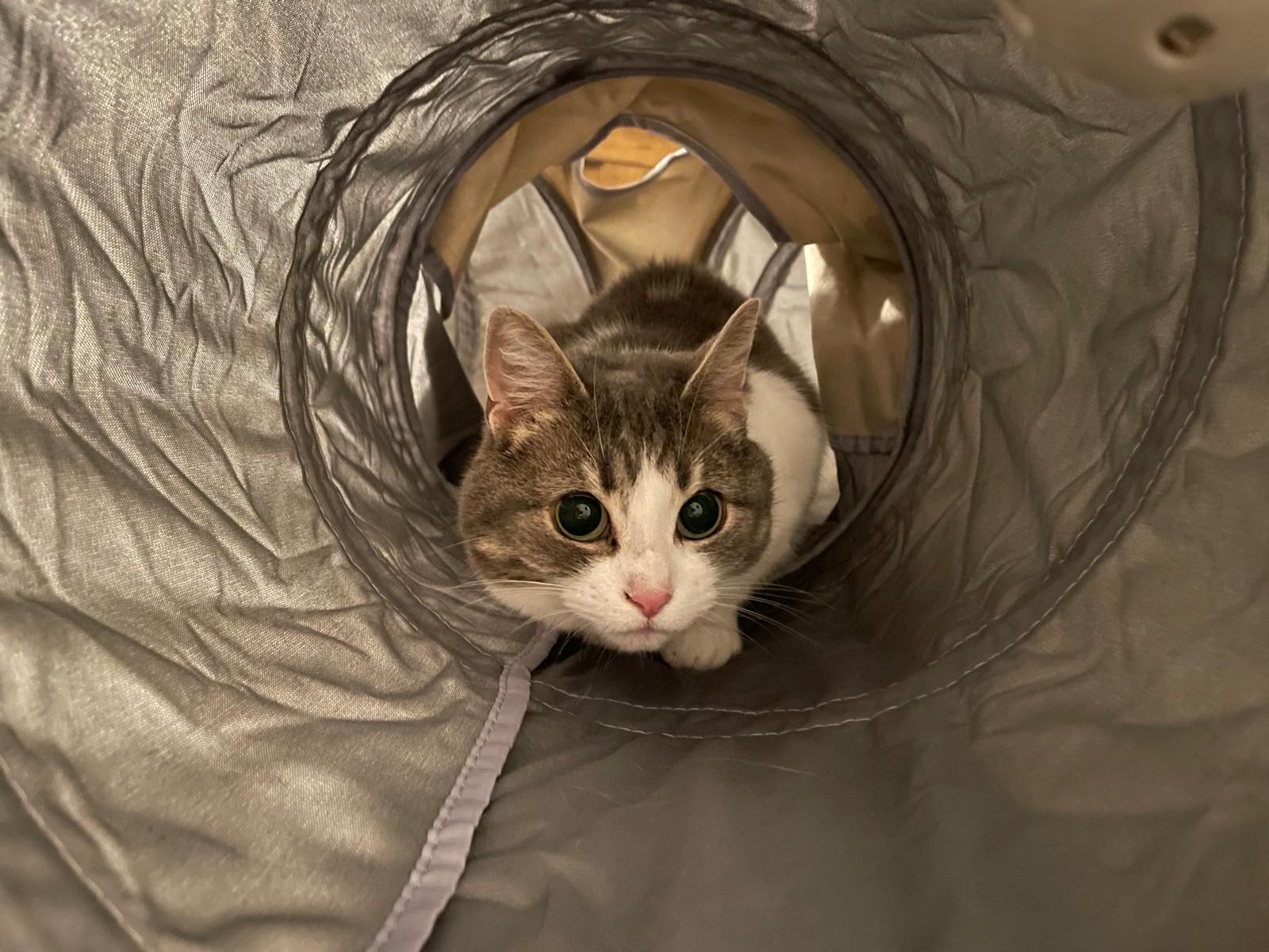 image-6