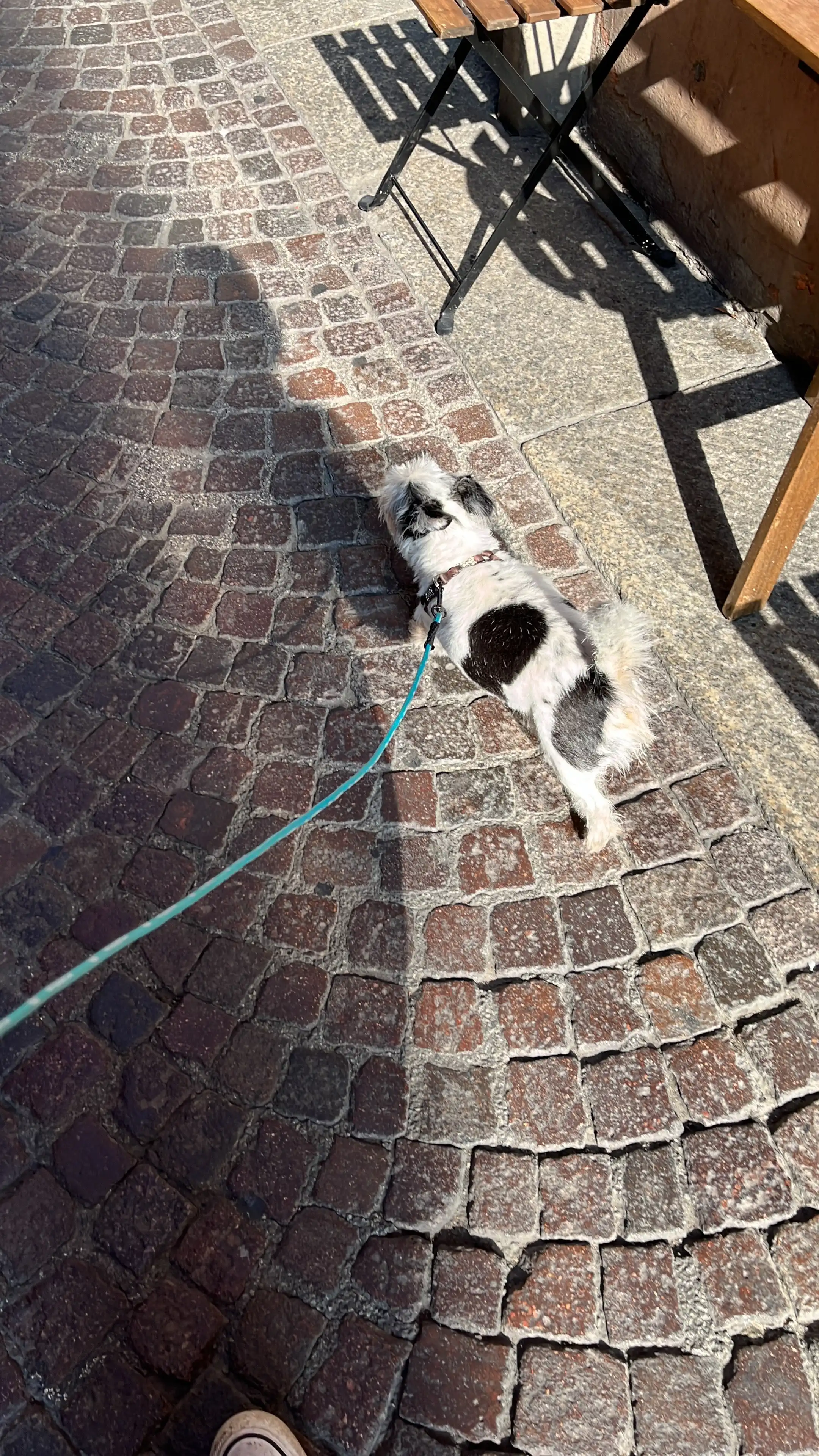 image-5